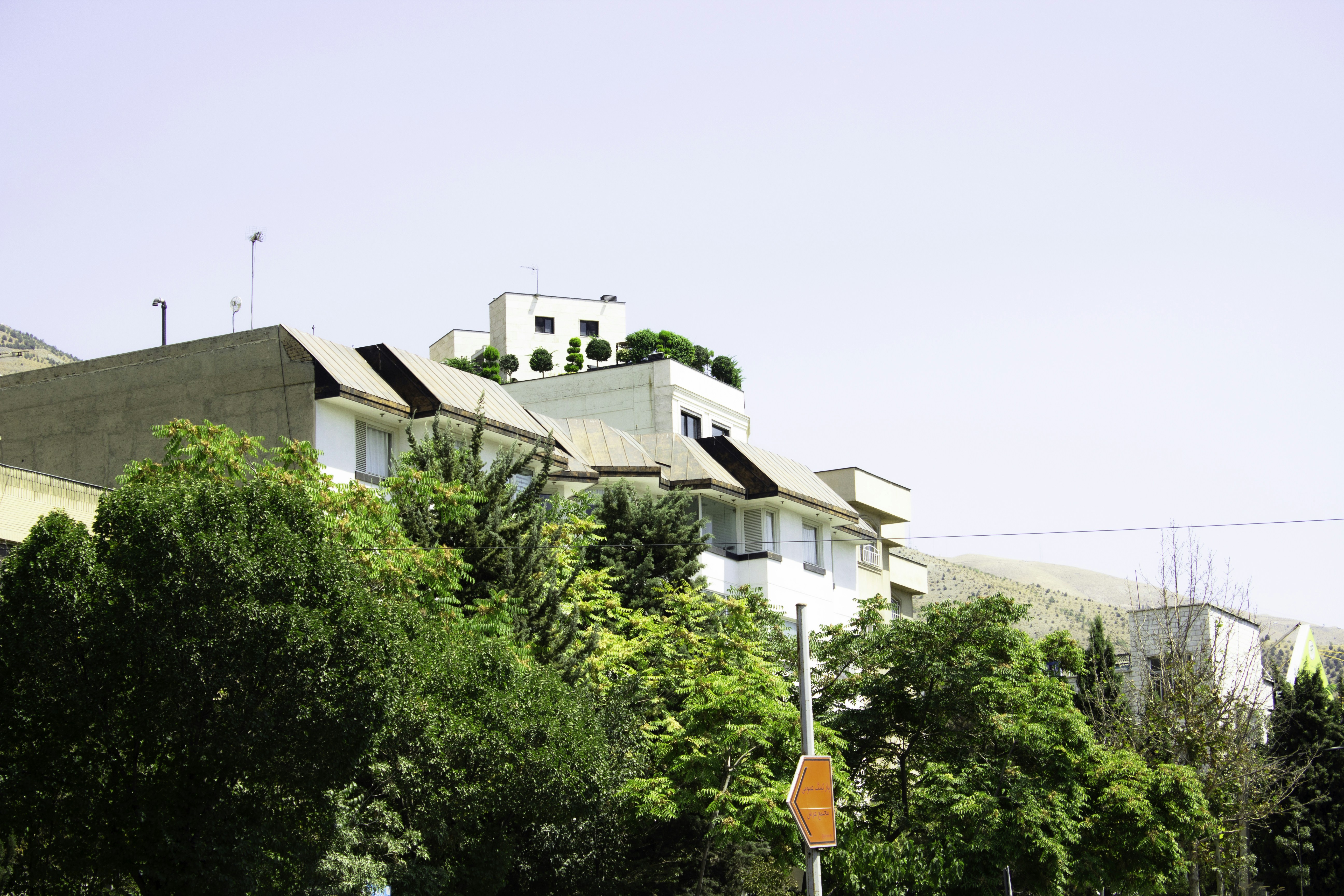 Photo by elham_frame