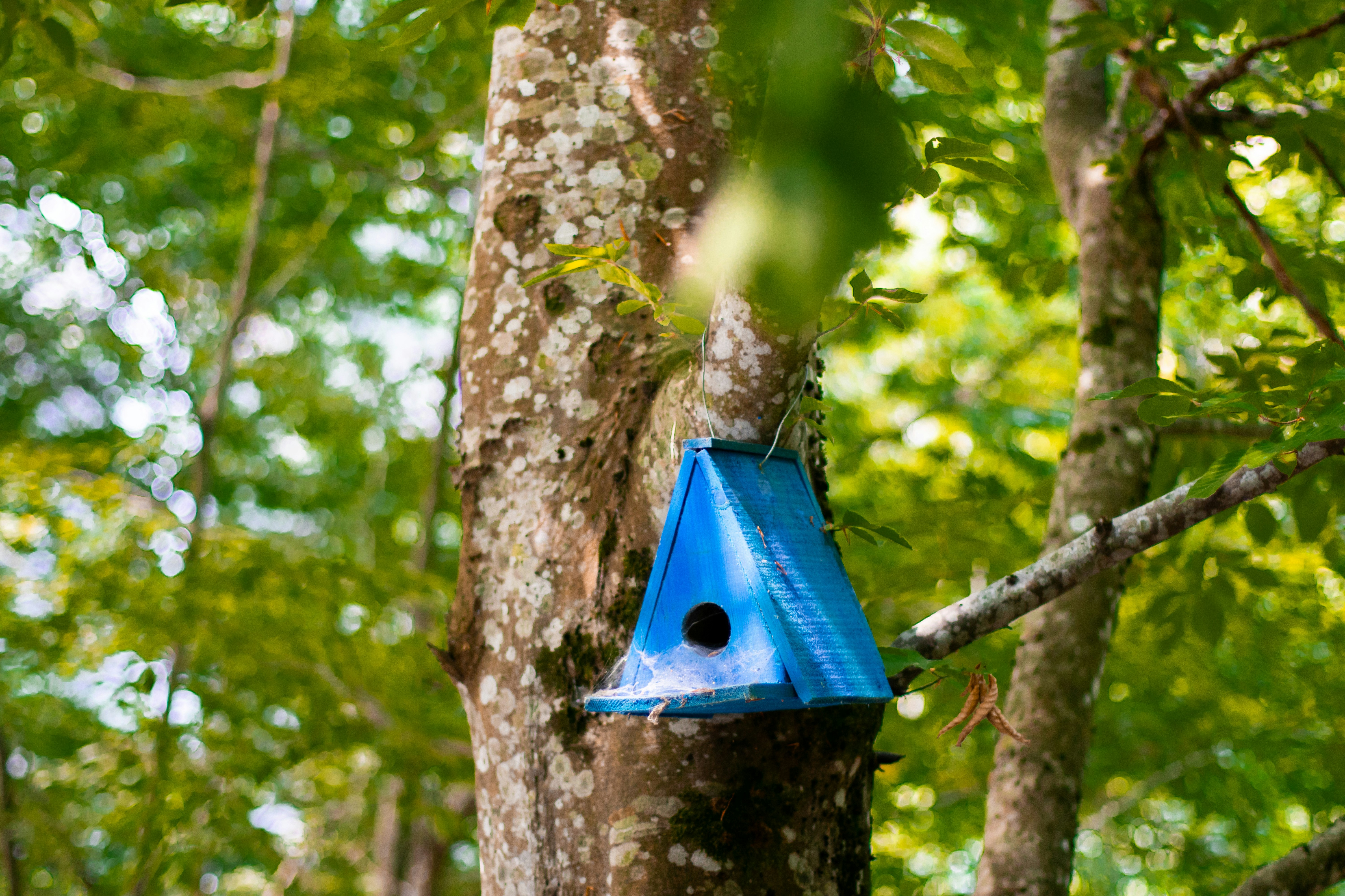 Photo by emrecandora