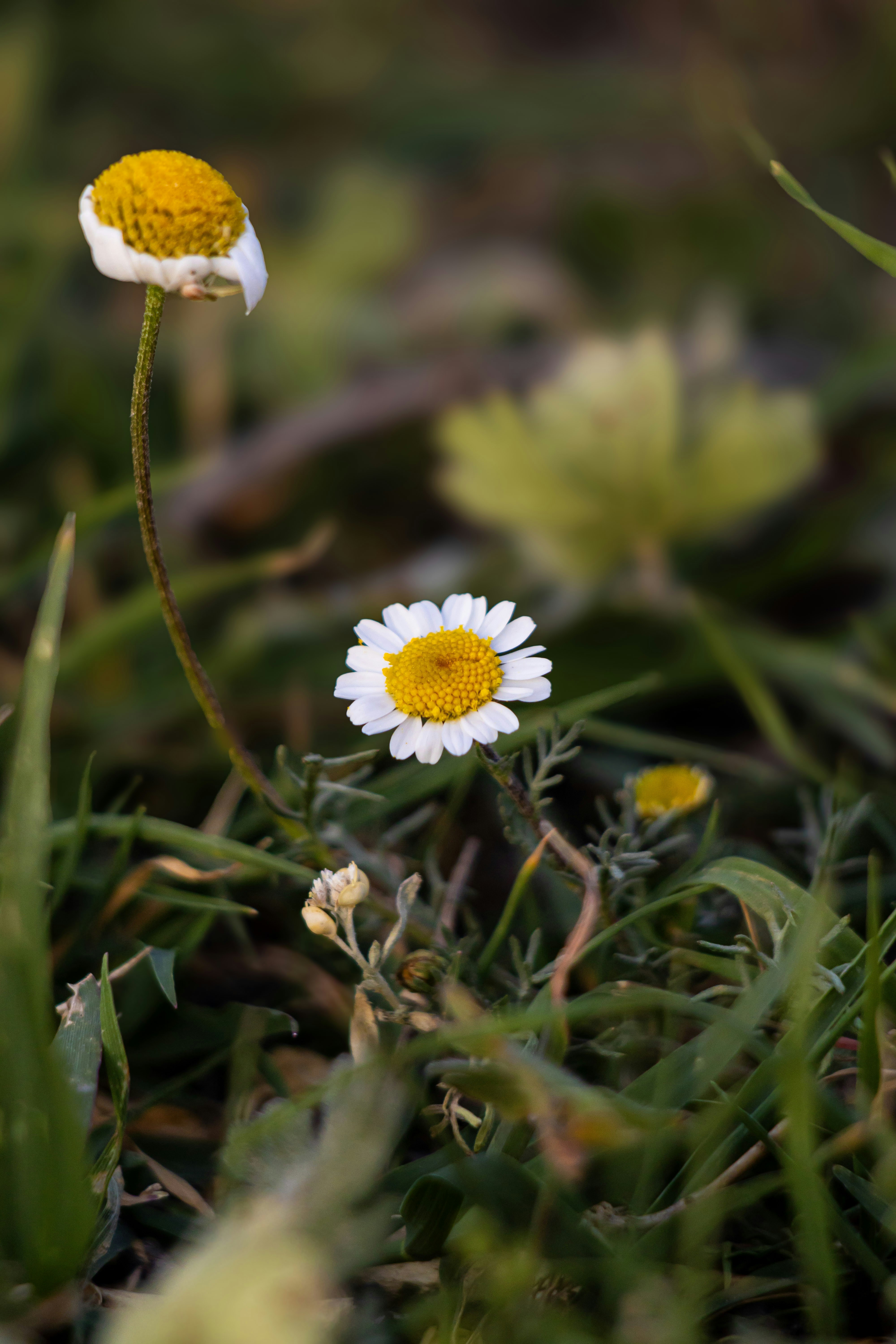 Photo by emrecandora