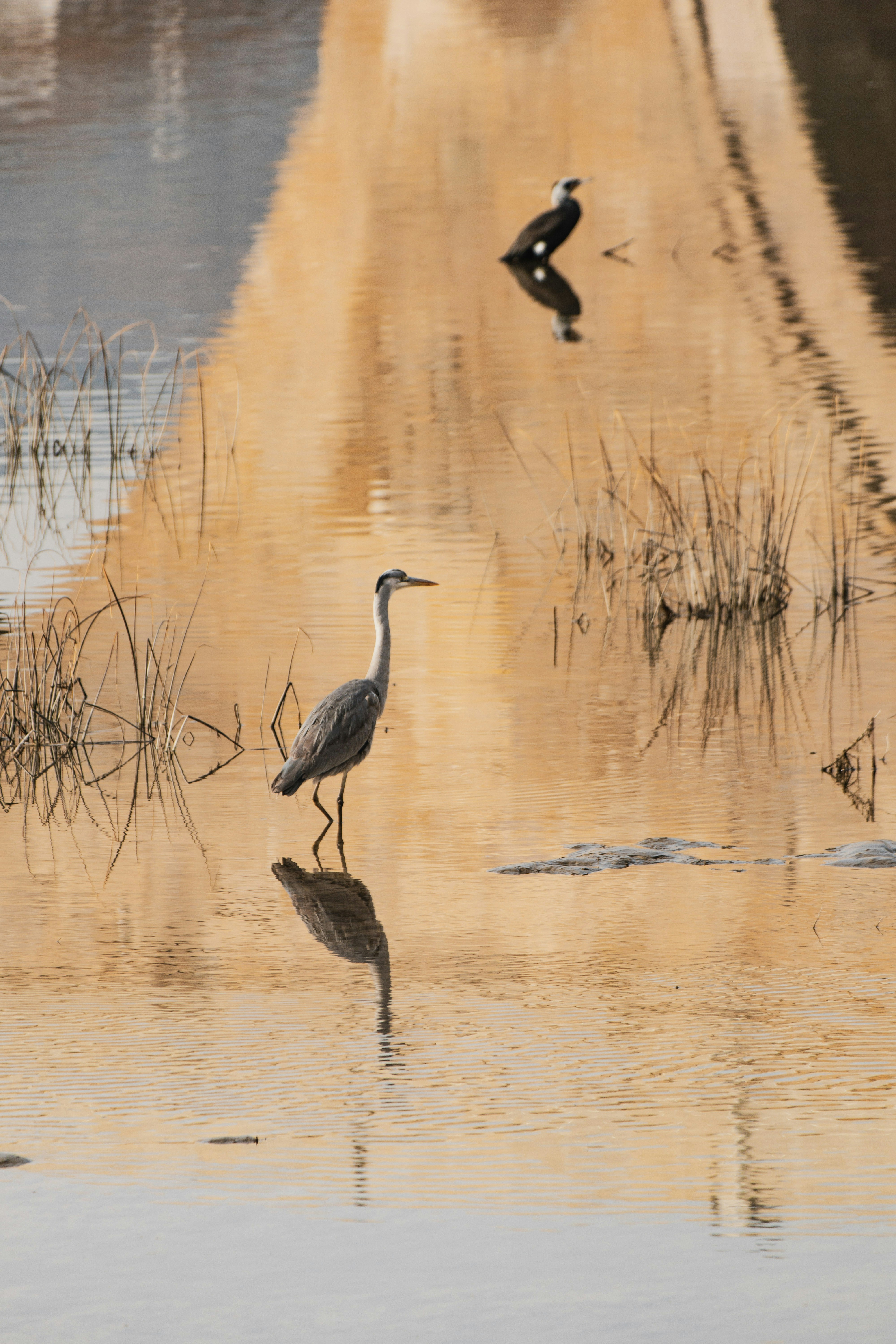 Photo by emrecandora