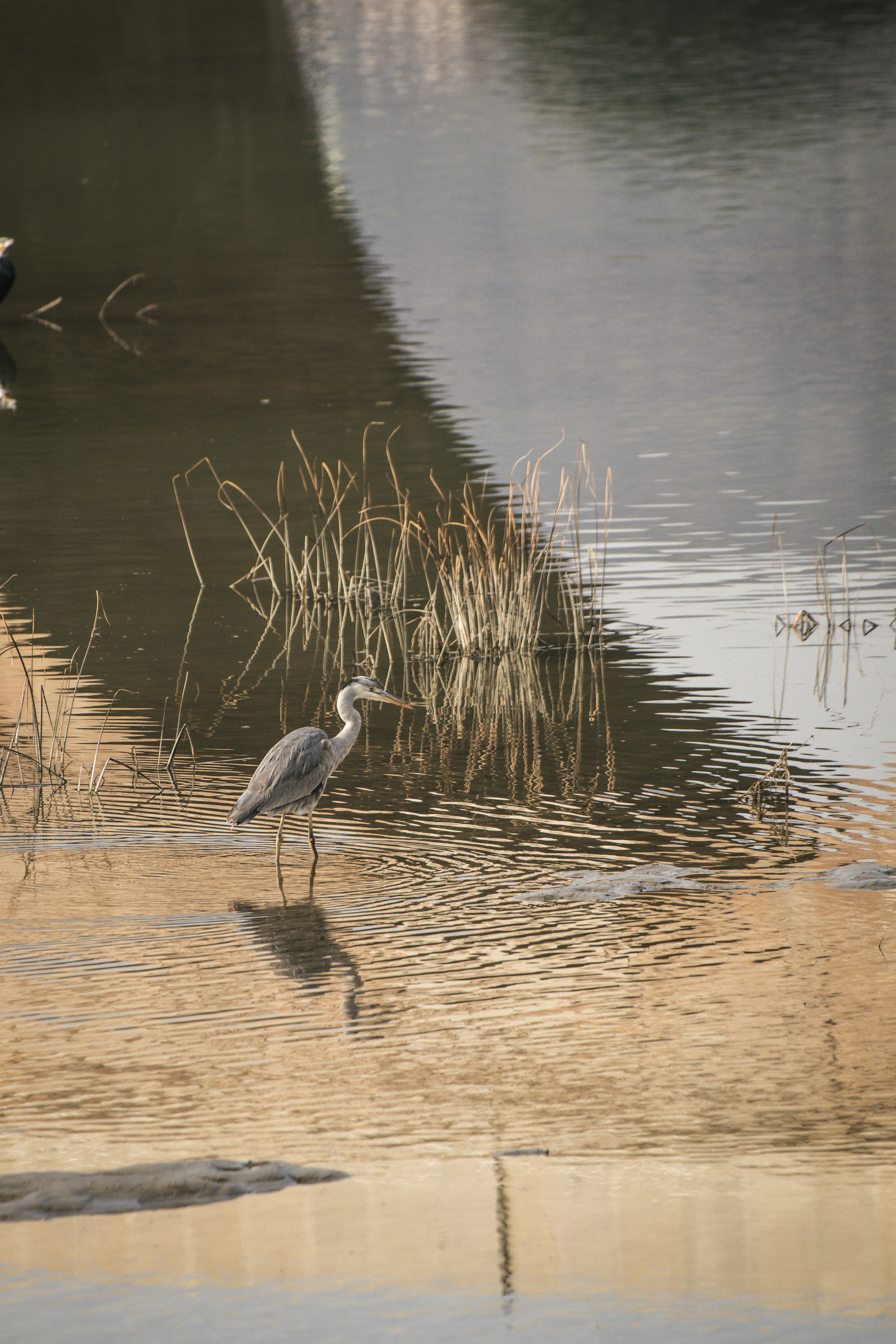 Photo by emrecandora