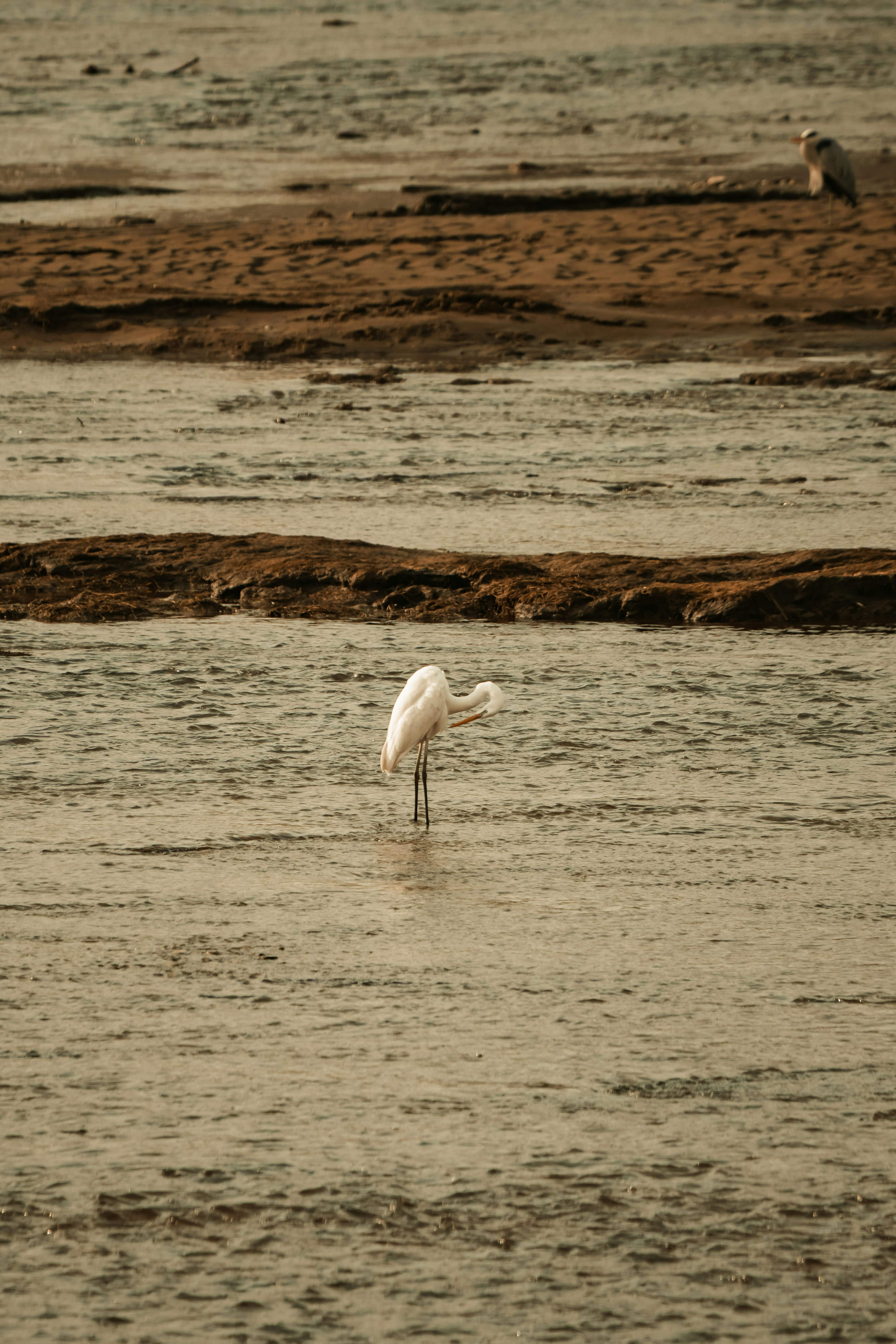 Photo by emrecandora