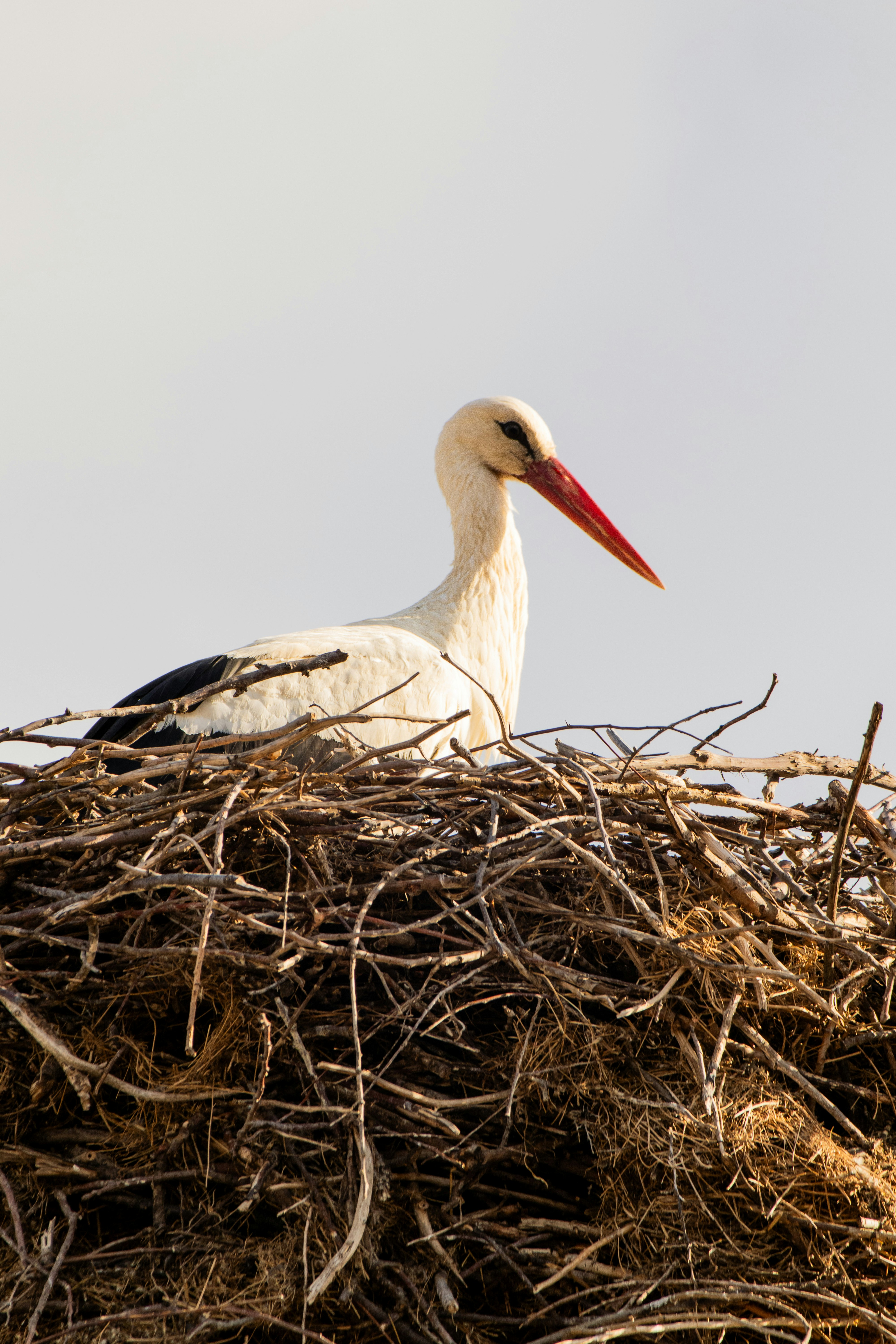 Photo by emrecandora