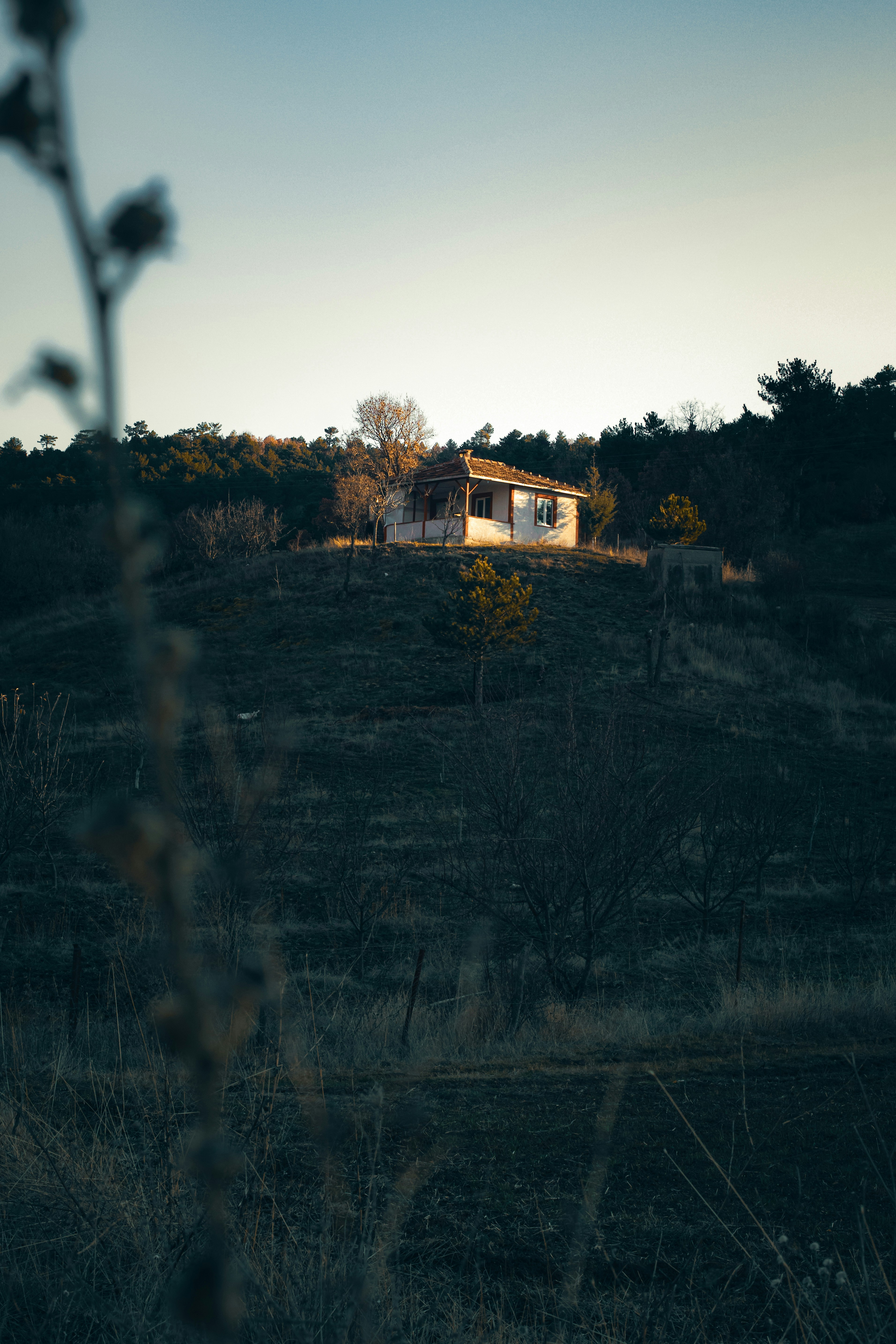 Photo by emrecandora