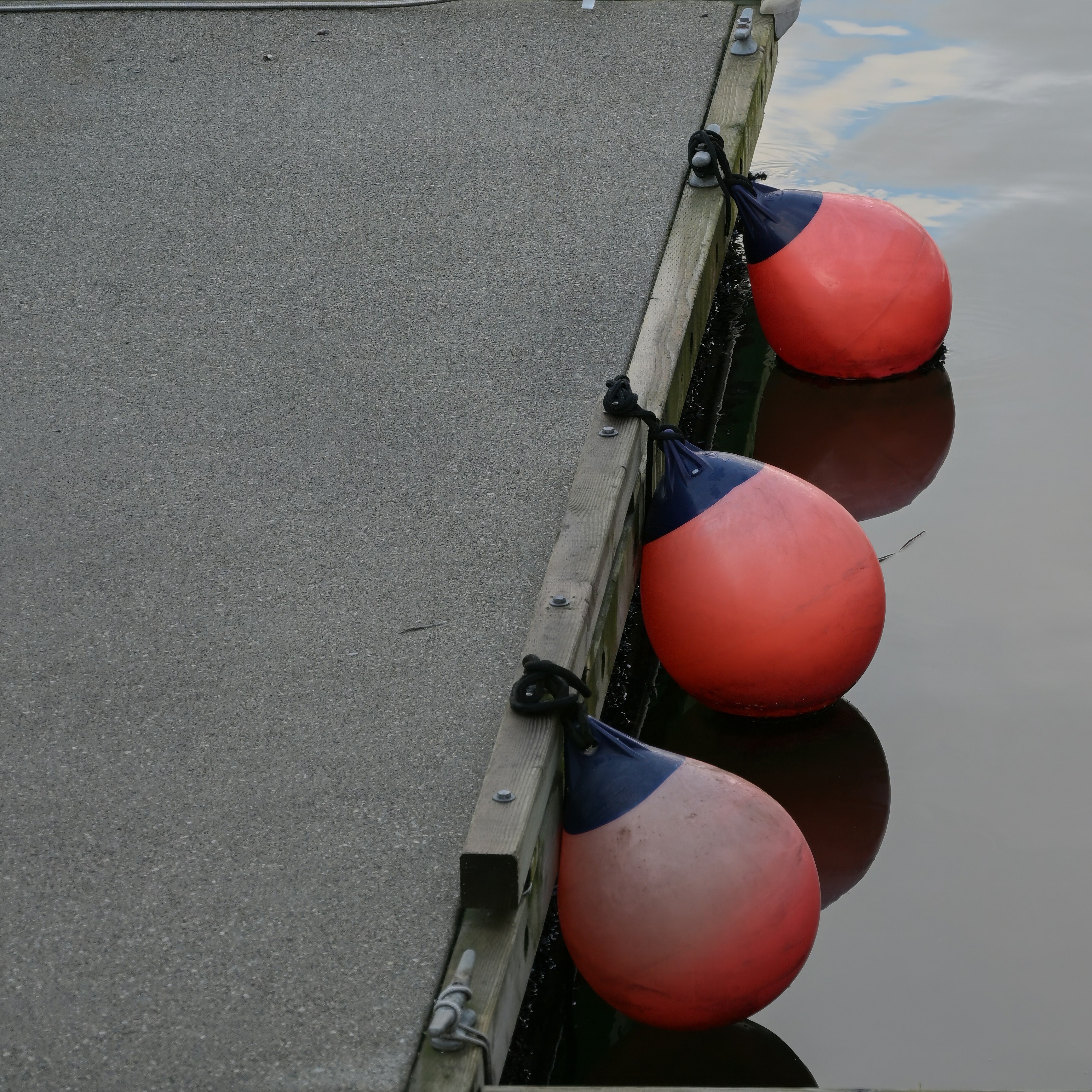 A row of red and blue buoys sitting next to a body of water