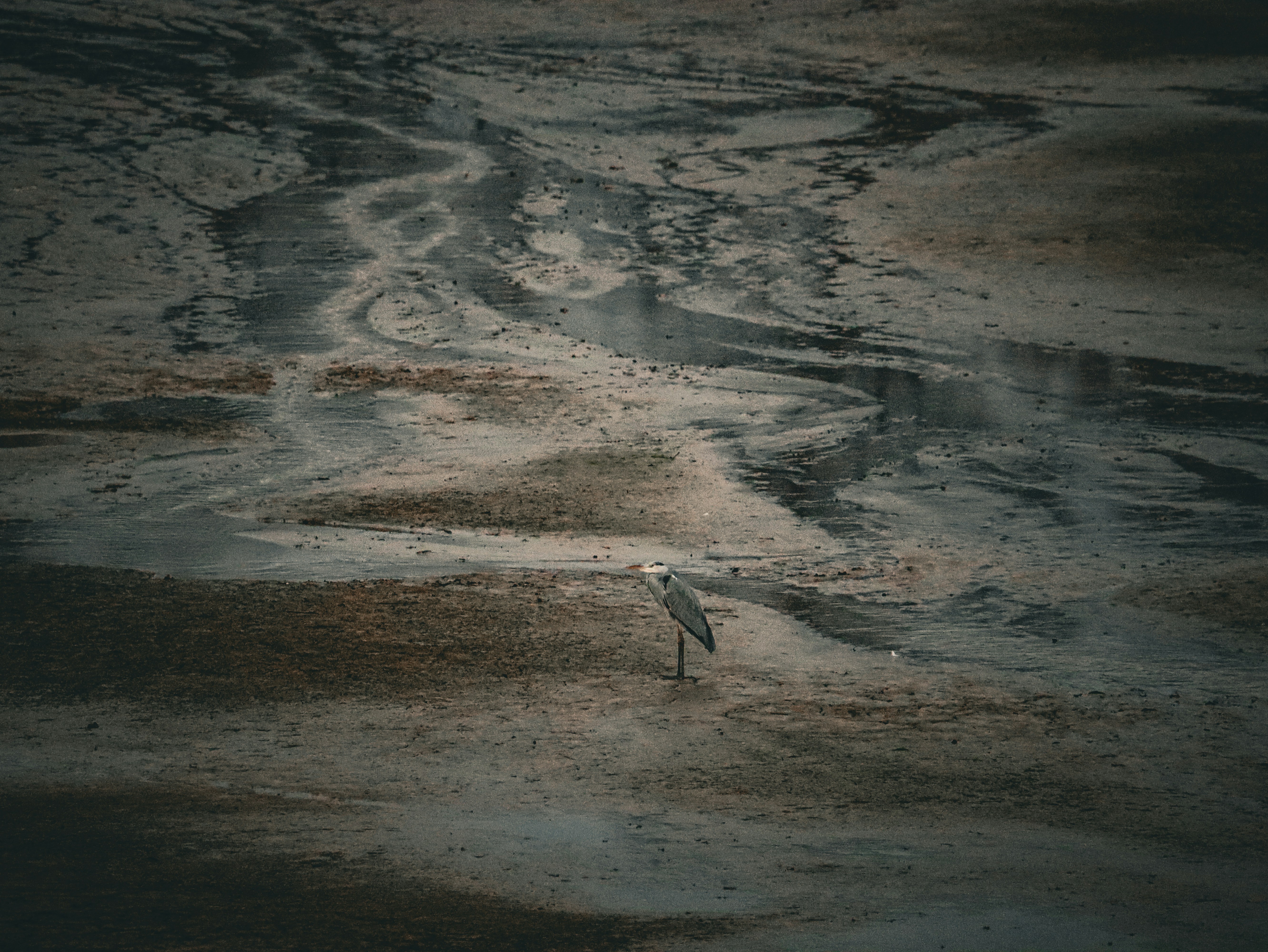 Les impacts de la relation sur la vie adulte