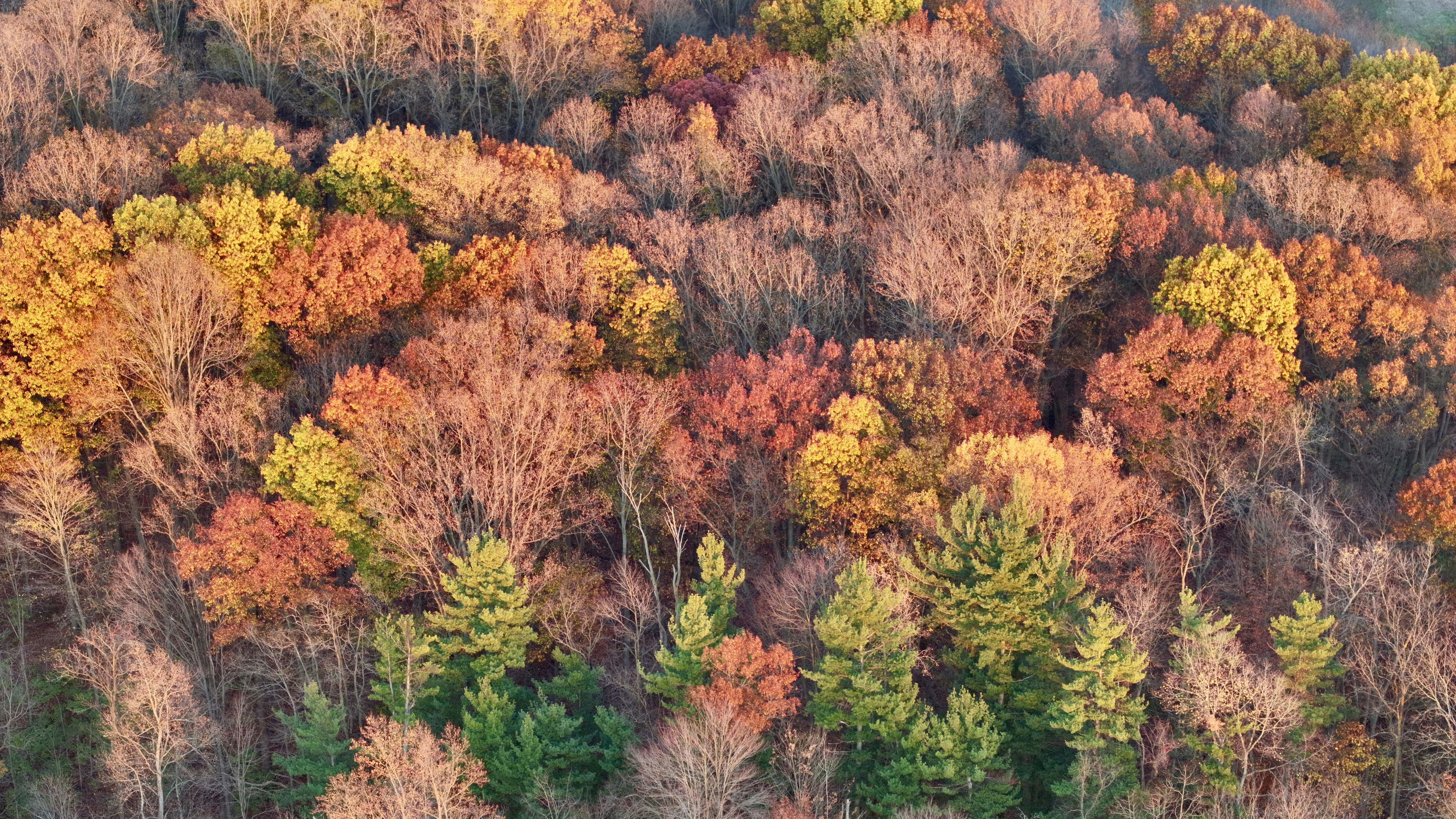 Photo by mike_loftus