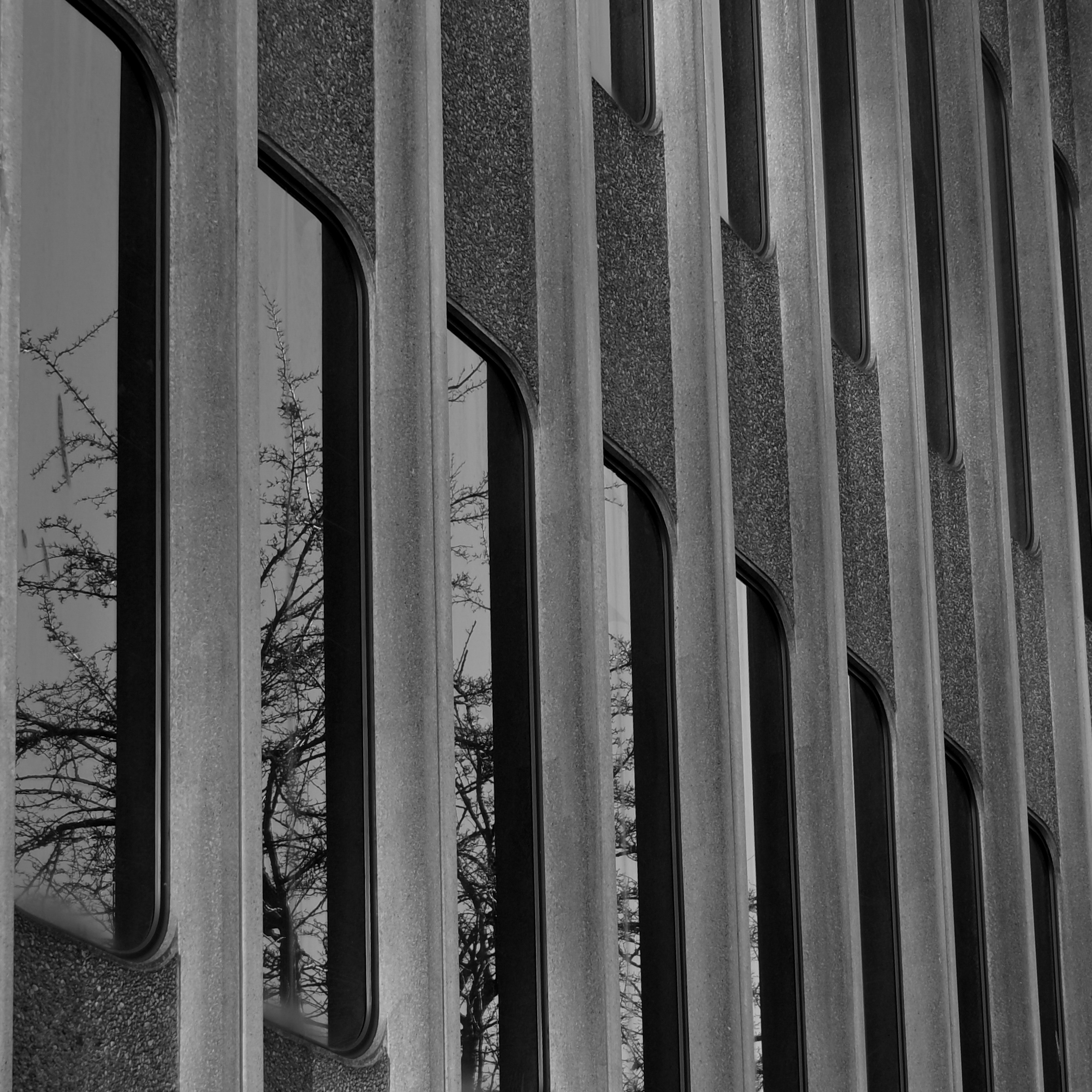 Photo by jonathankslim