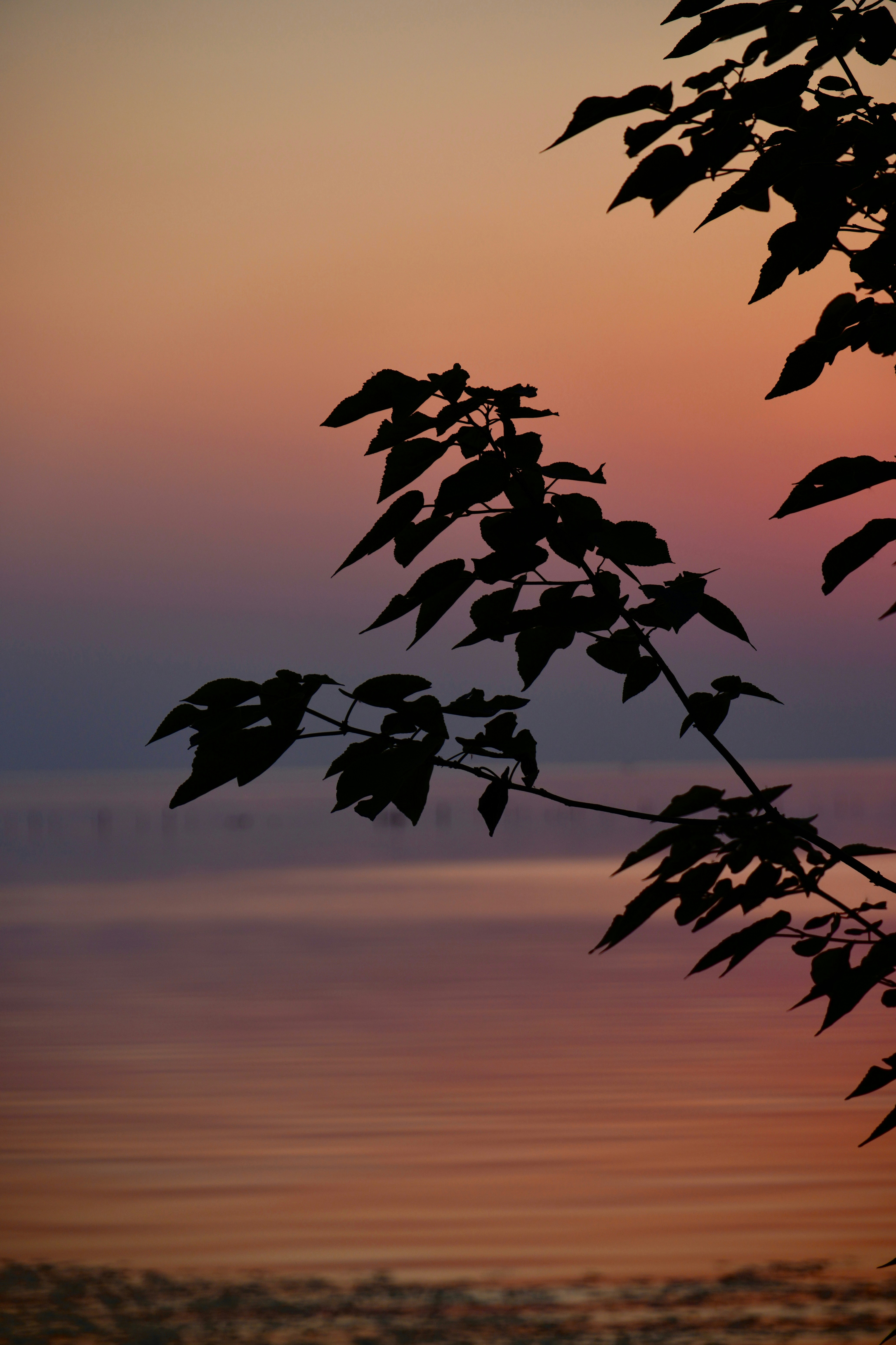 Photo by txxander