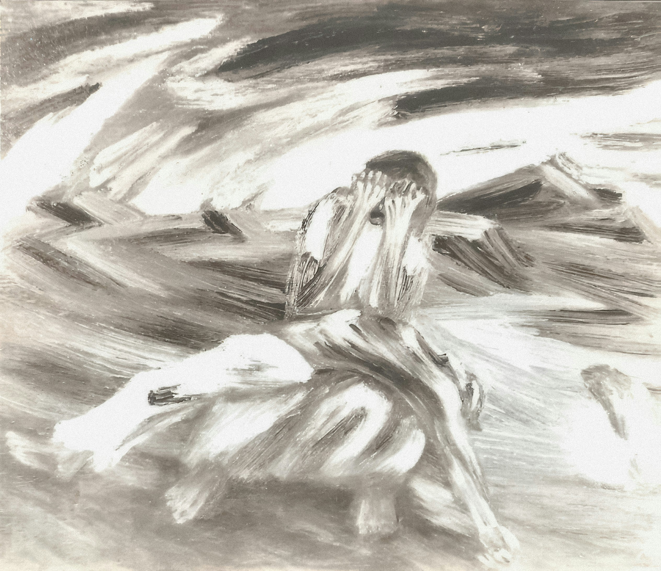 Photo by wikisinaloa