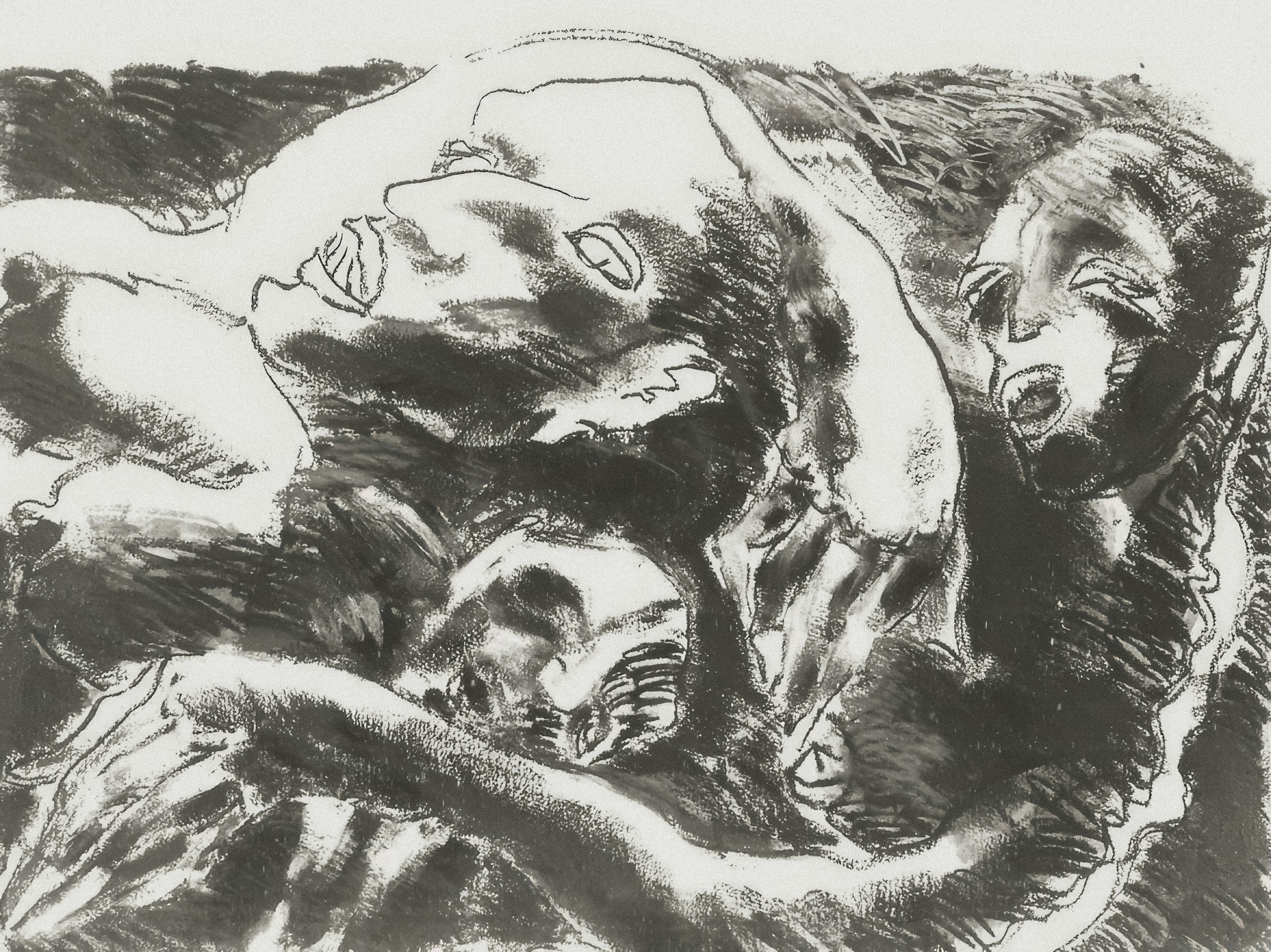 Photo by wikisinaloa