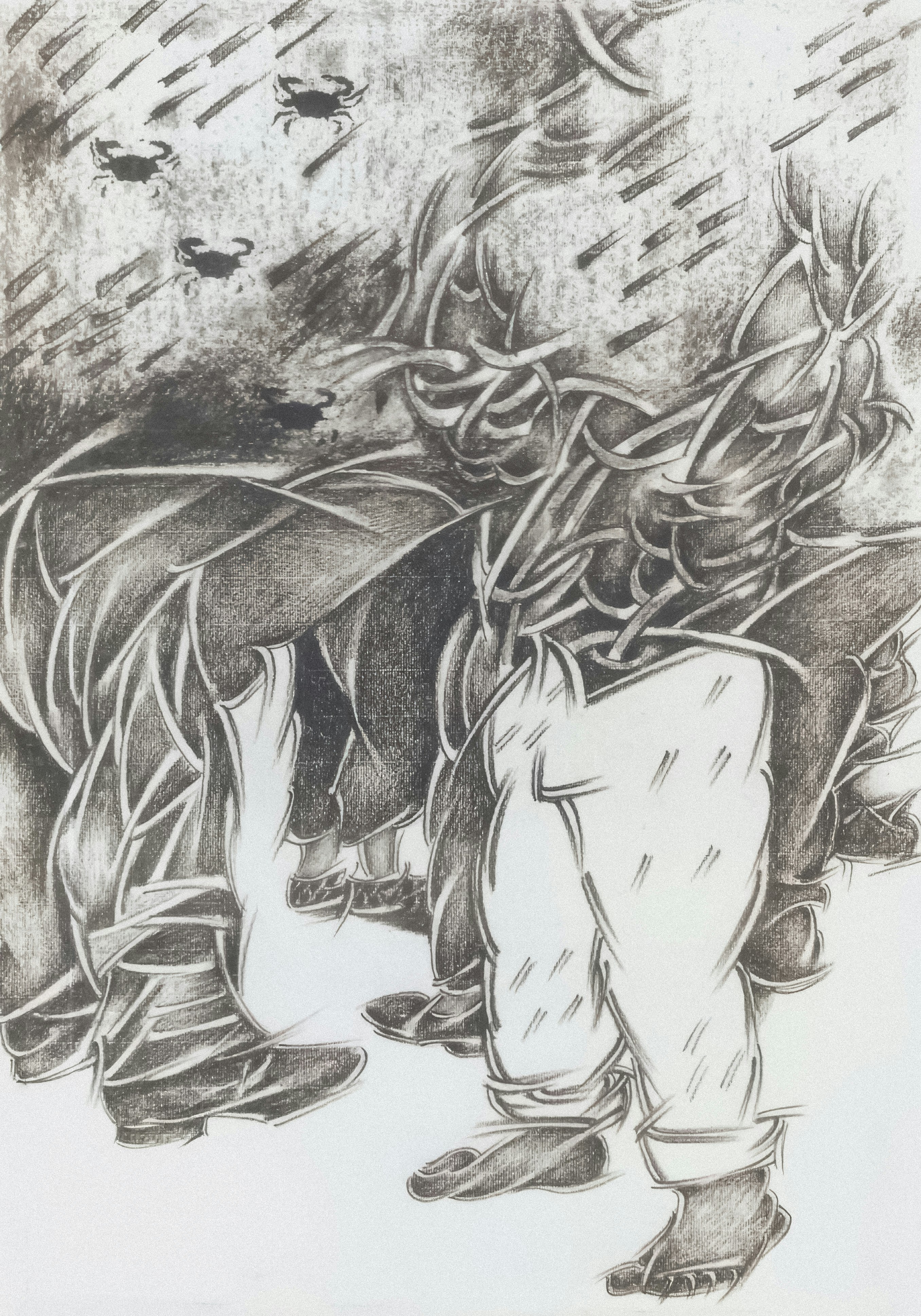 Photo by wikisinaloa