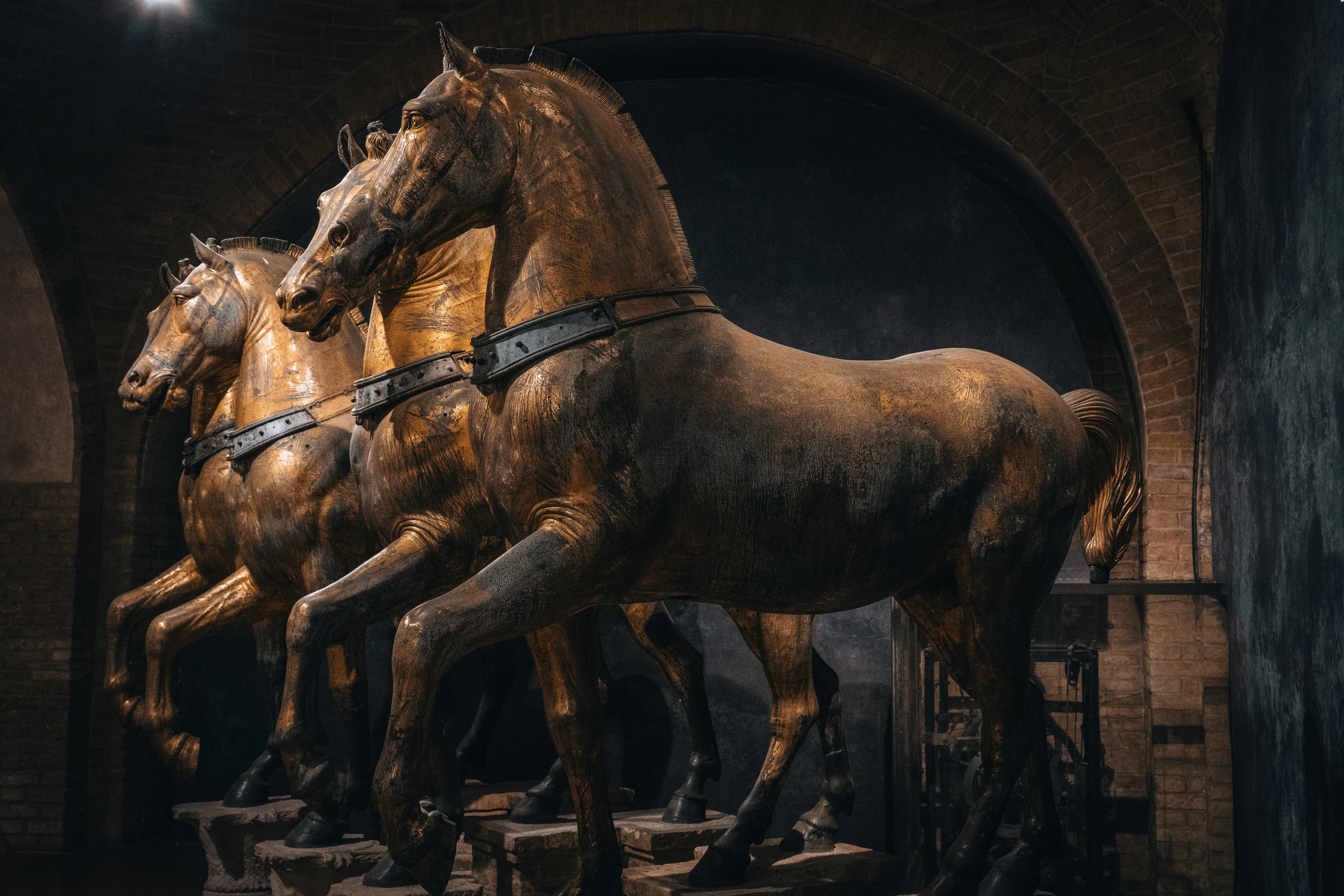 An awe-inspiring display of ancient bronze horse statues, their golden patina gleaming under soft light, evoking the grandeur of history and craftsmanship. The dynamic poses and muscular detail reflect strength and motion frozen in time, set against a shadowy, arched interior.