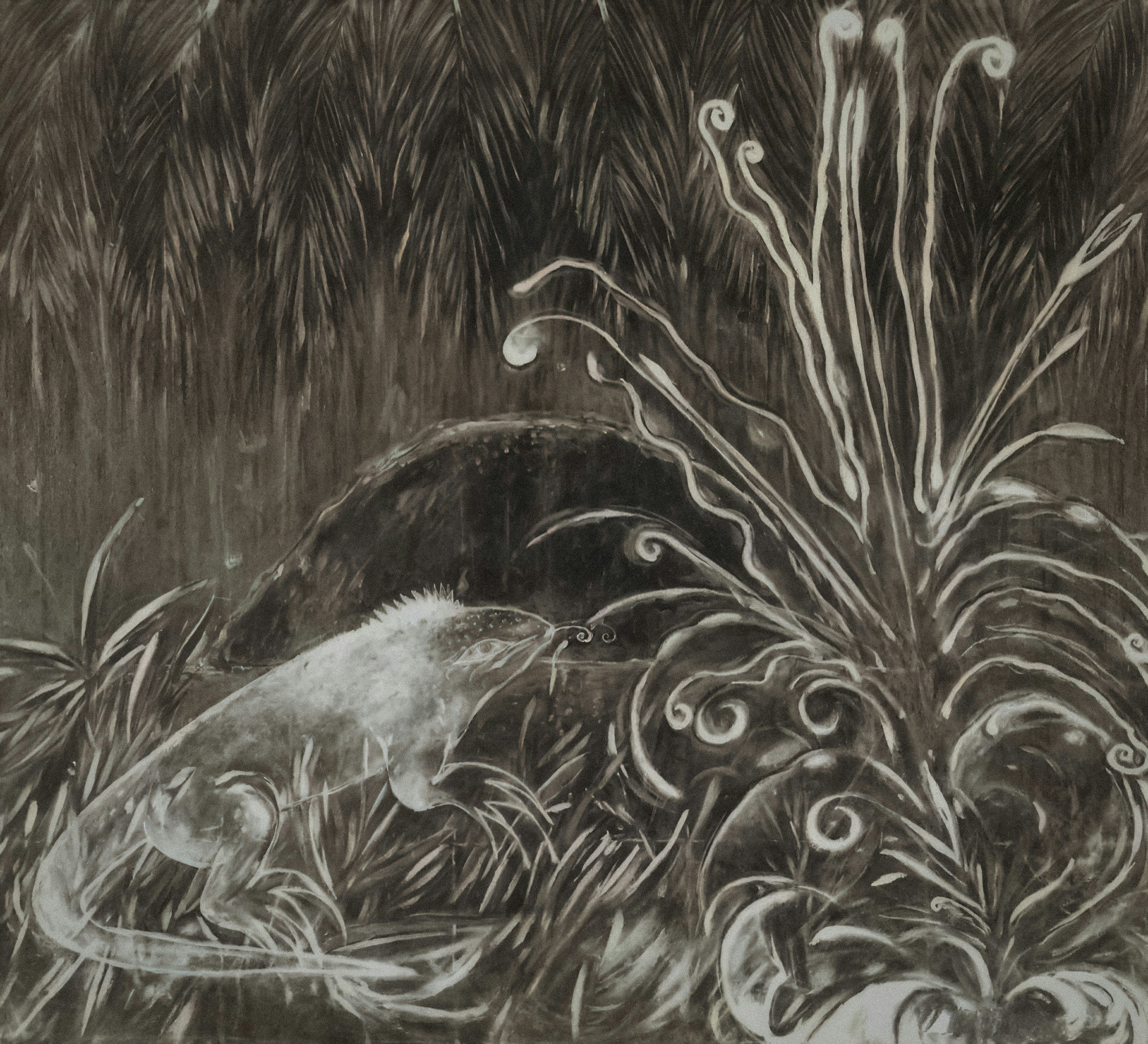 Photo by wikisinaloa