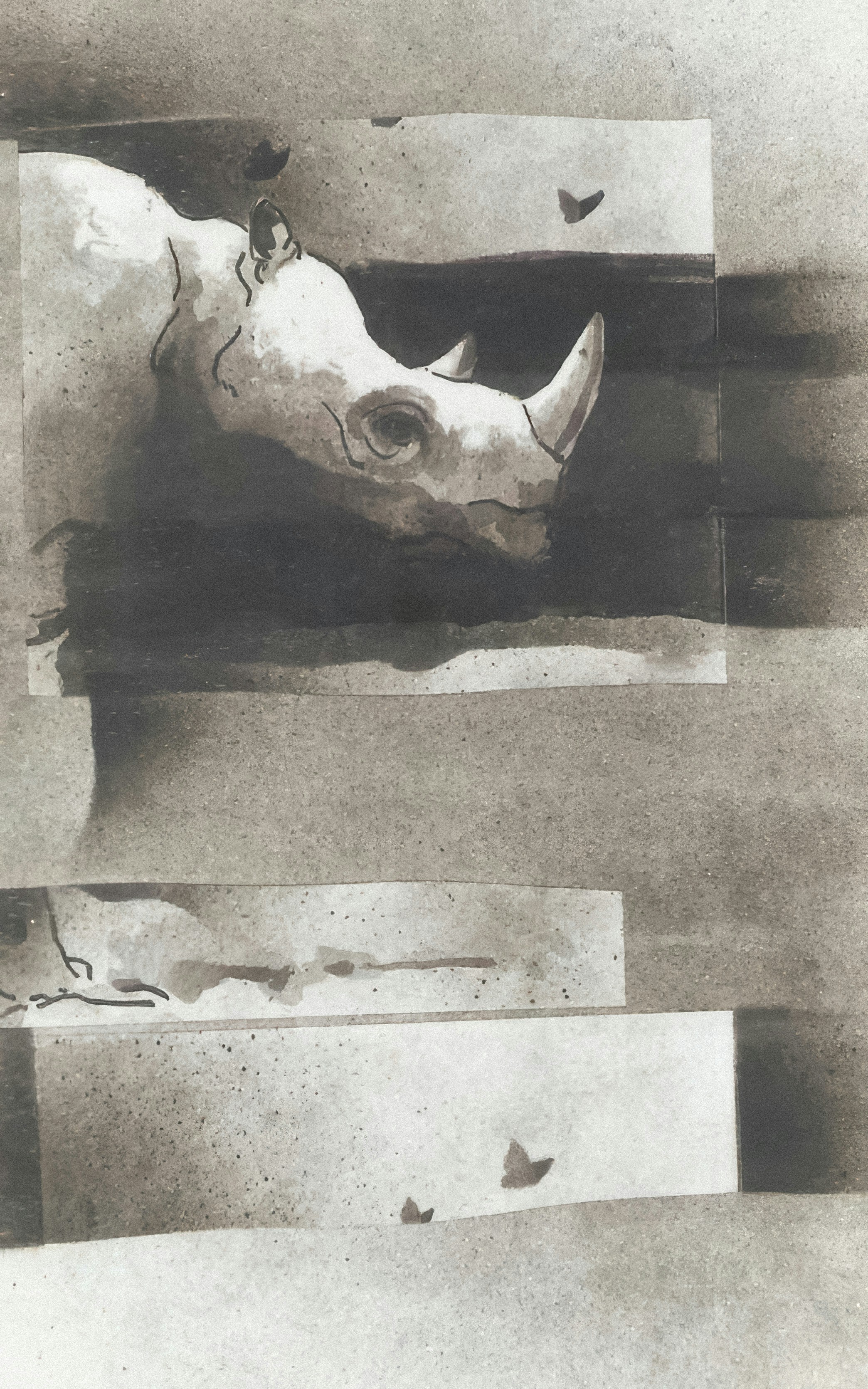 Photo by wikisinaloa