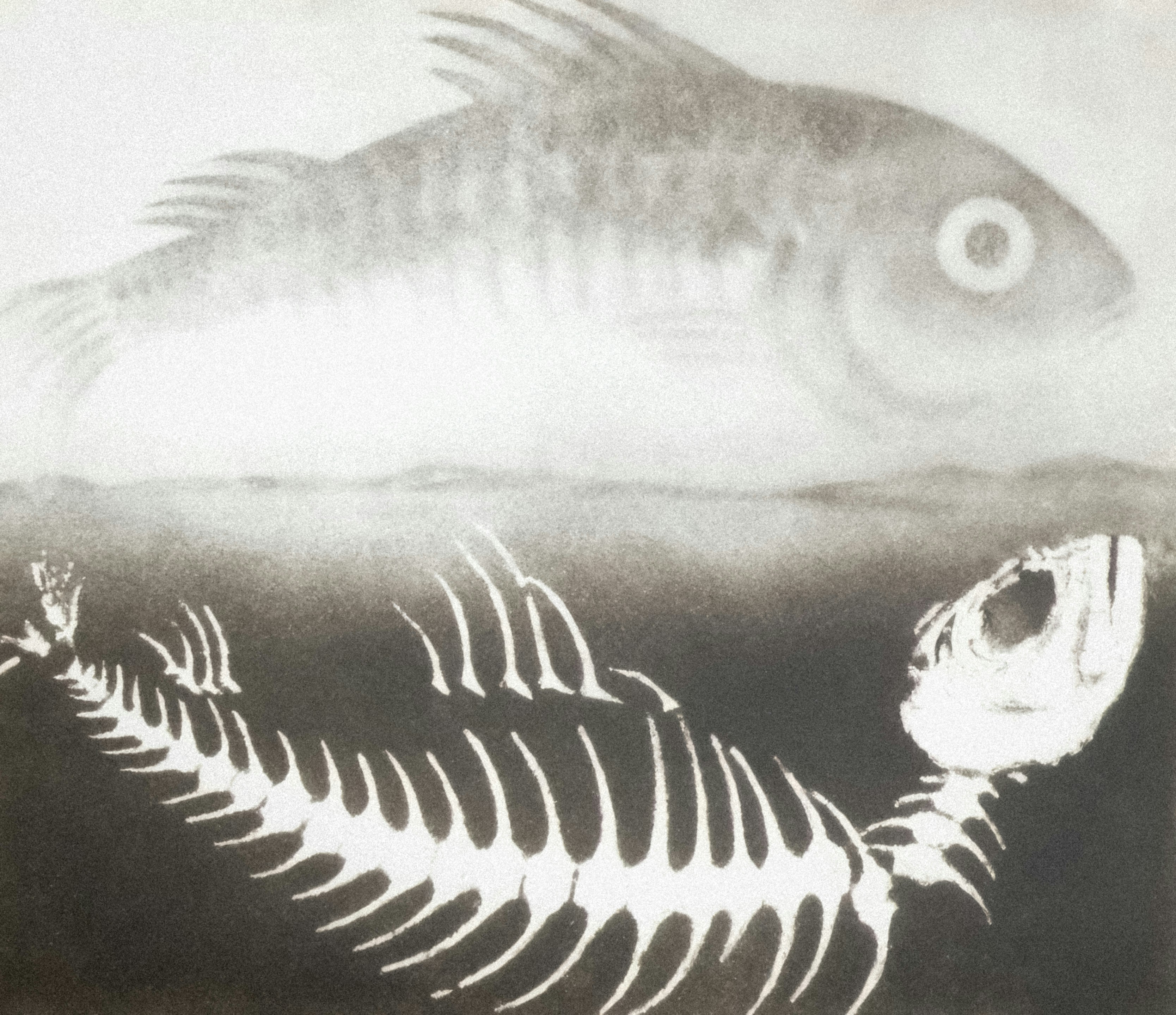 살아있는 물고기 아래에 물고기 골격이 떠 있다.