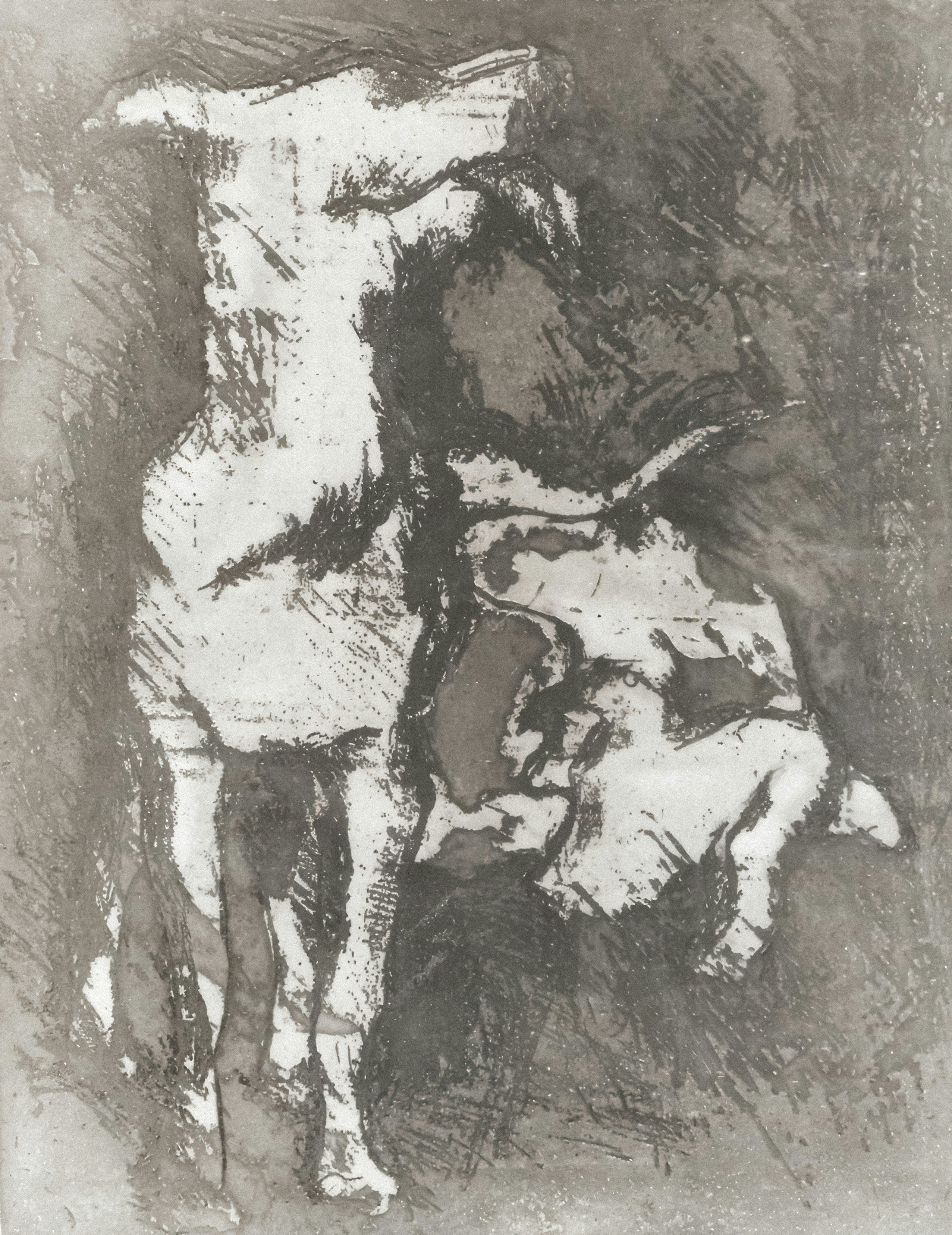 Photo by wikisinaloa