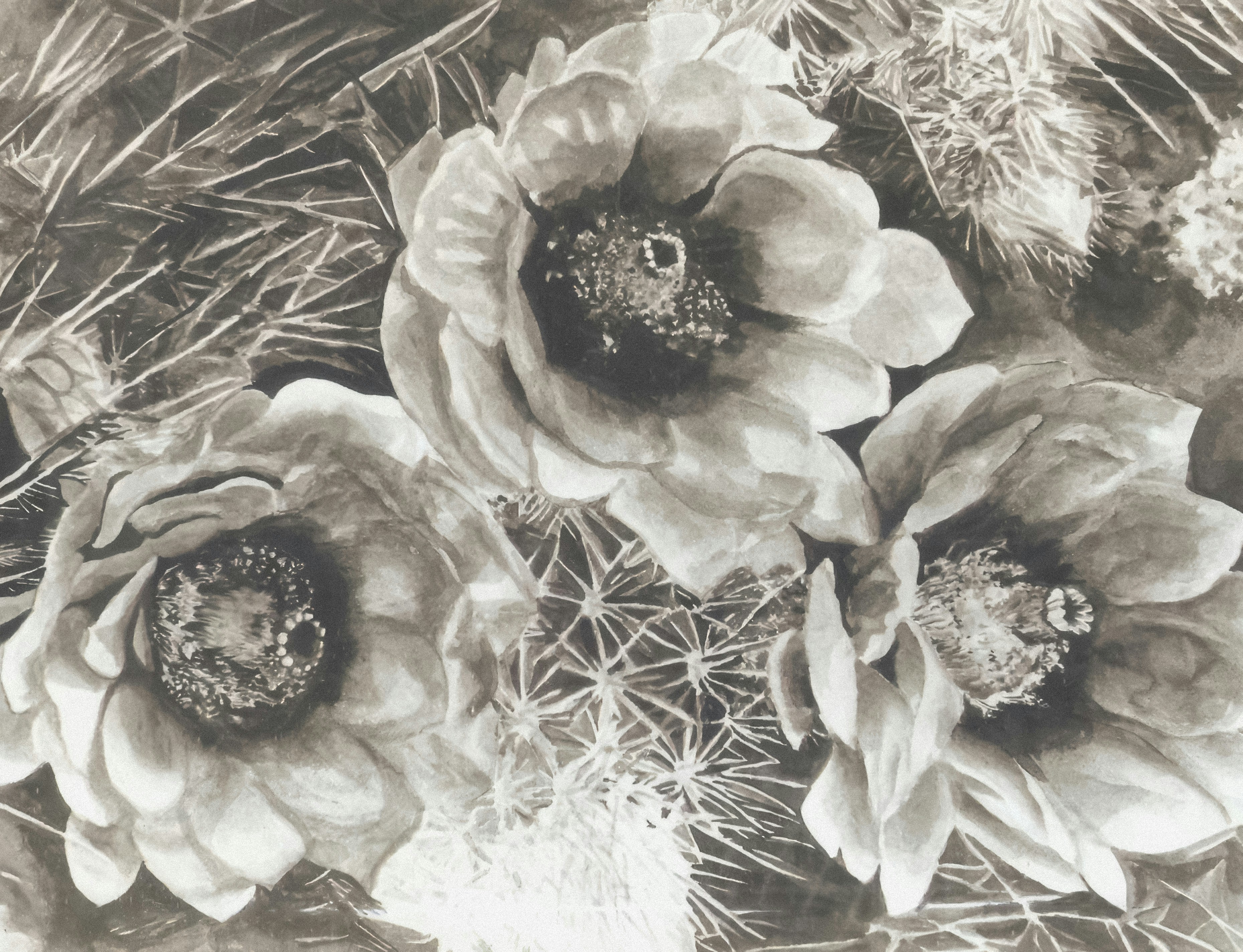 Photo by wikisinaloa