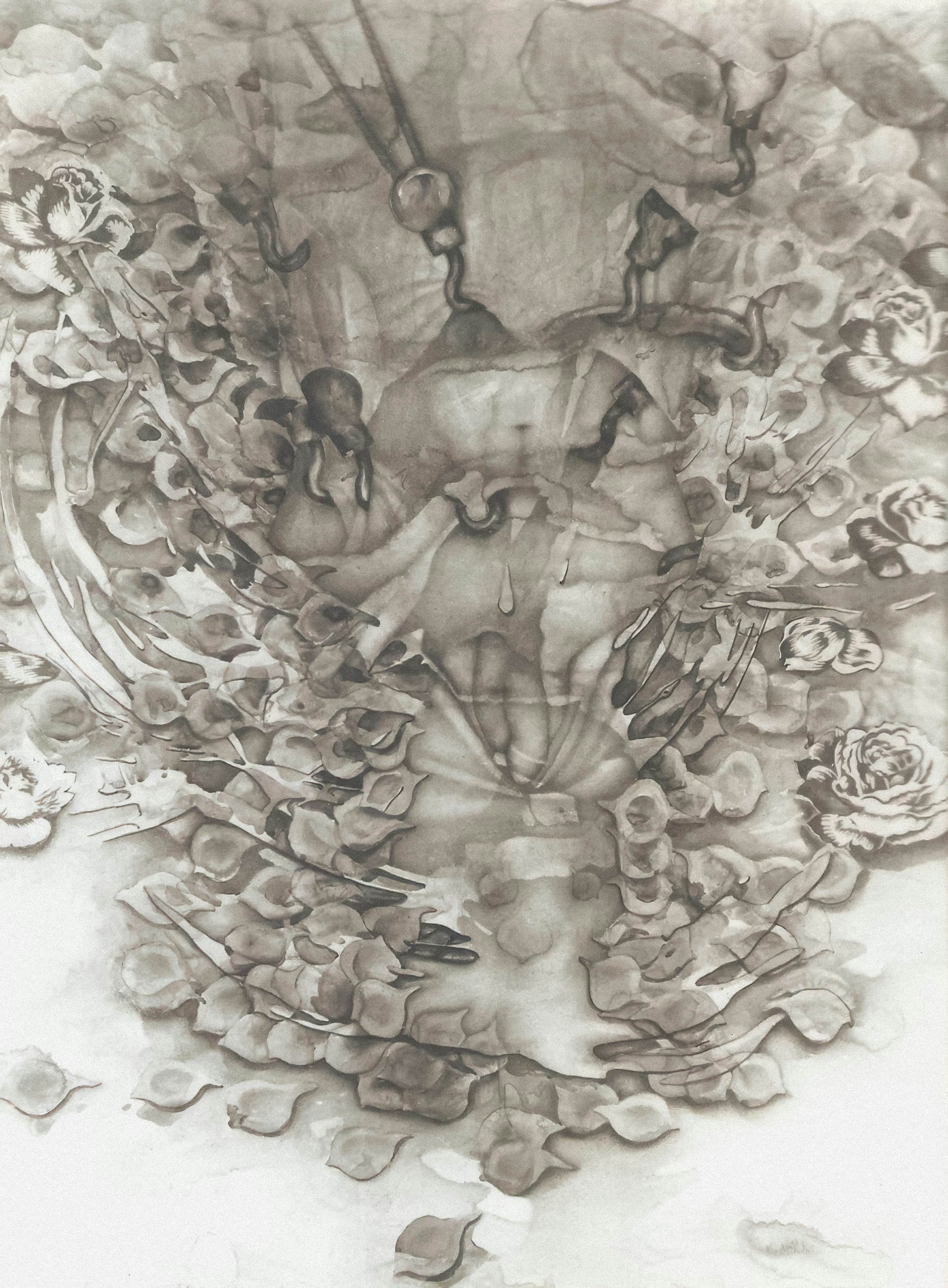 Photo by wikisinaloa