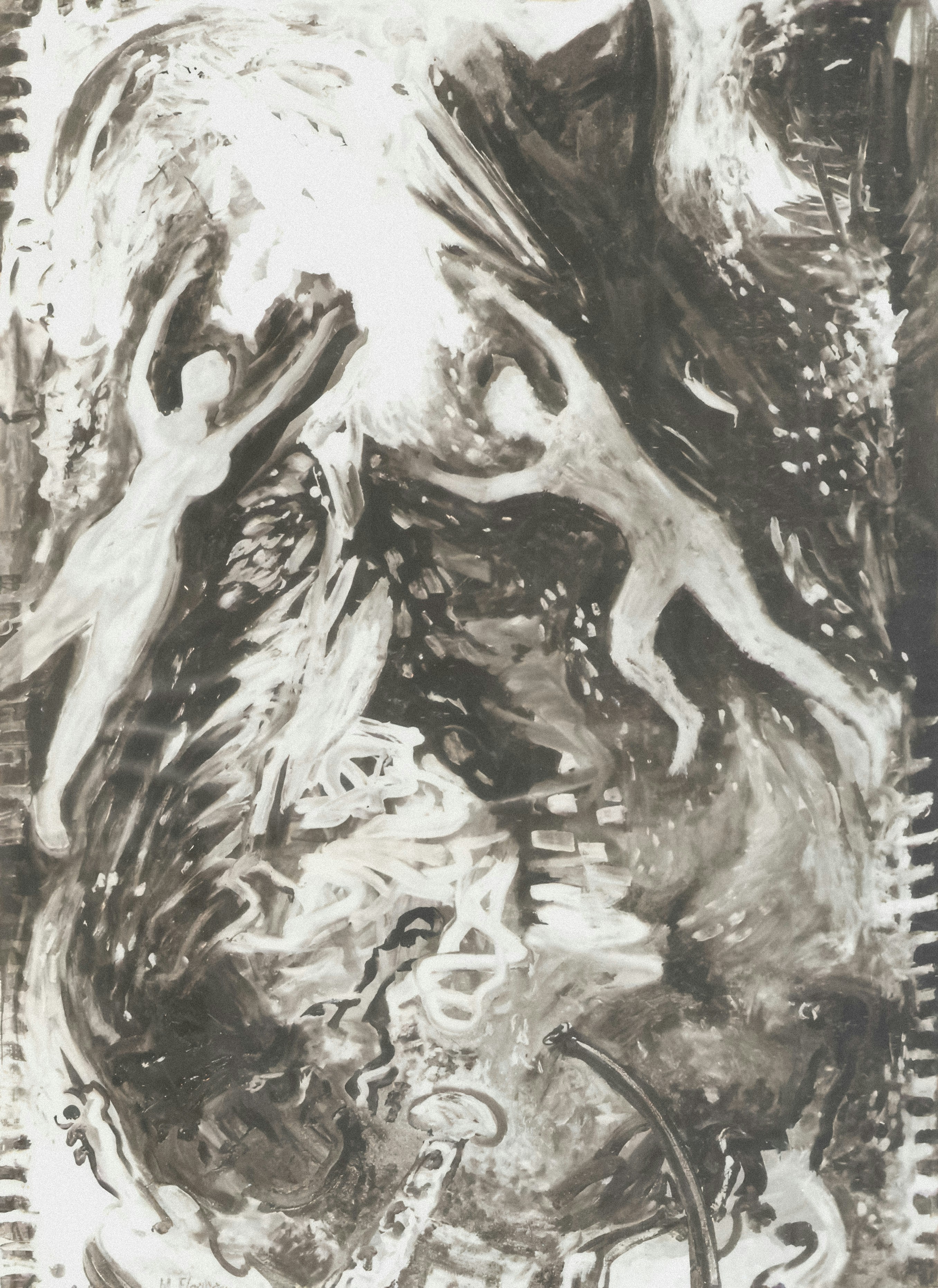 Photo by wikisinaloa