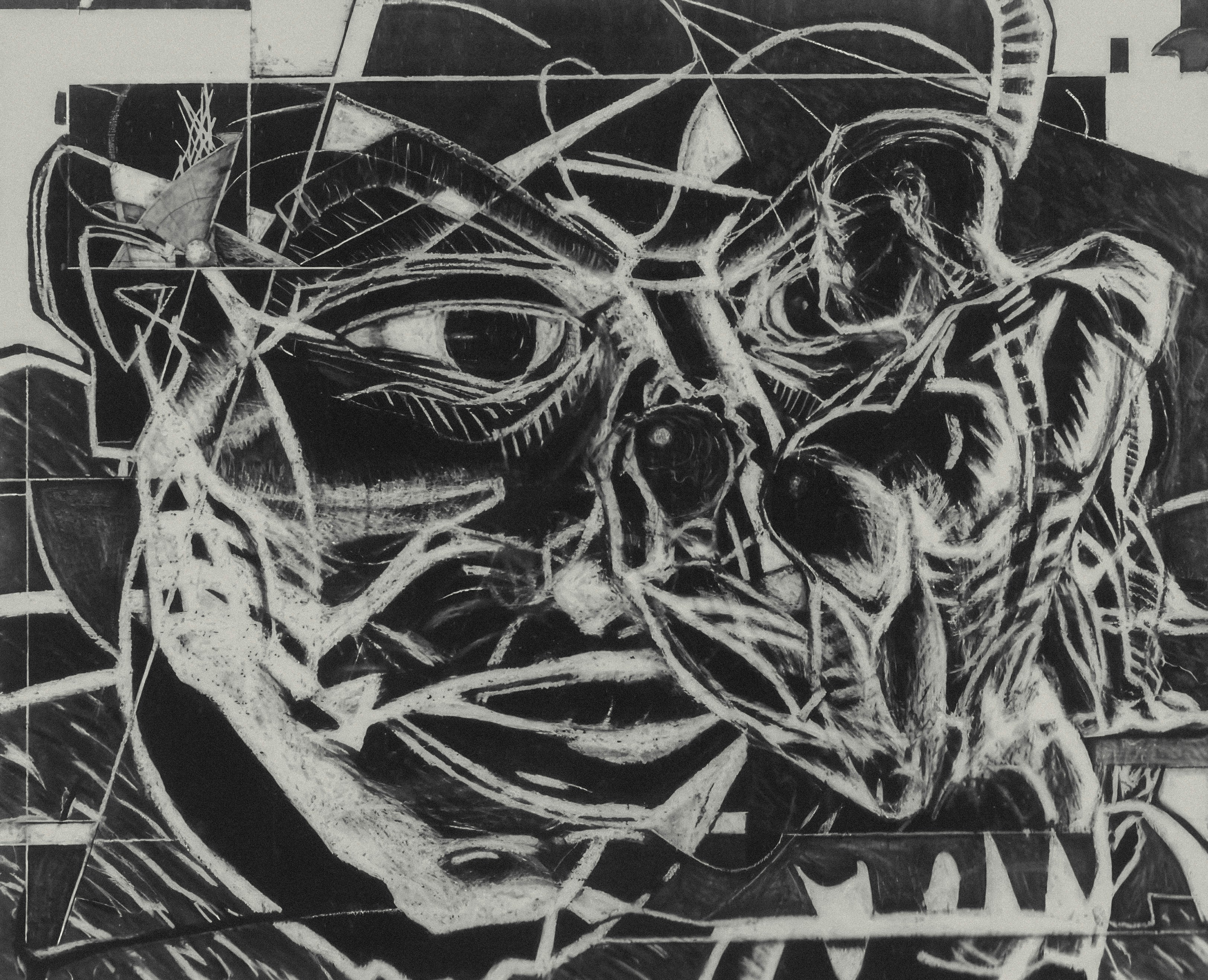 Photo by wikisinaloa