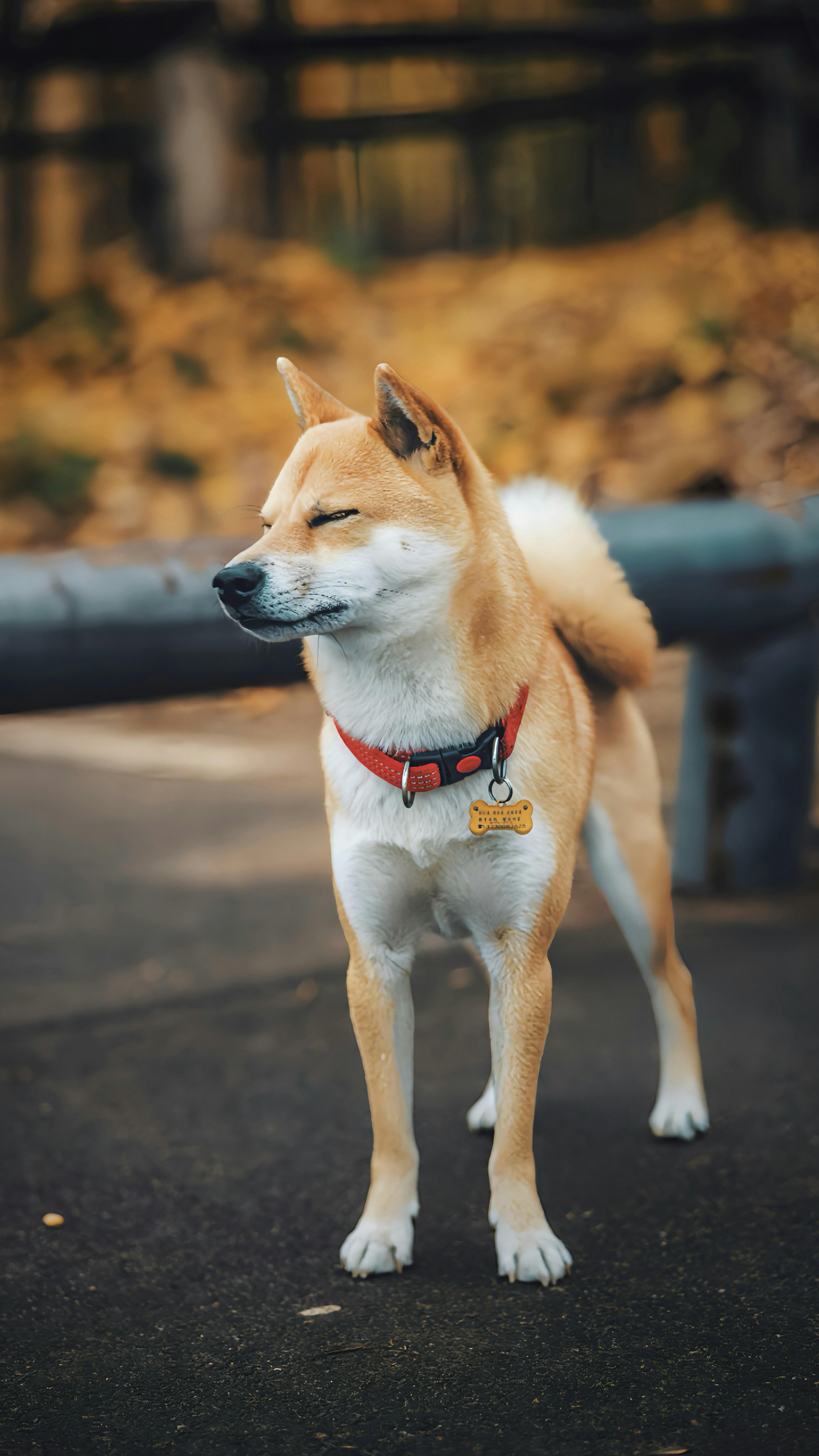 Photo by wangbinghua