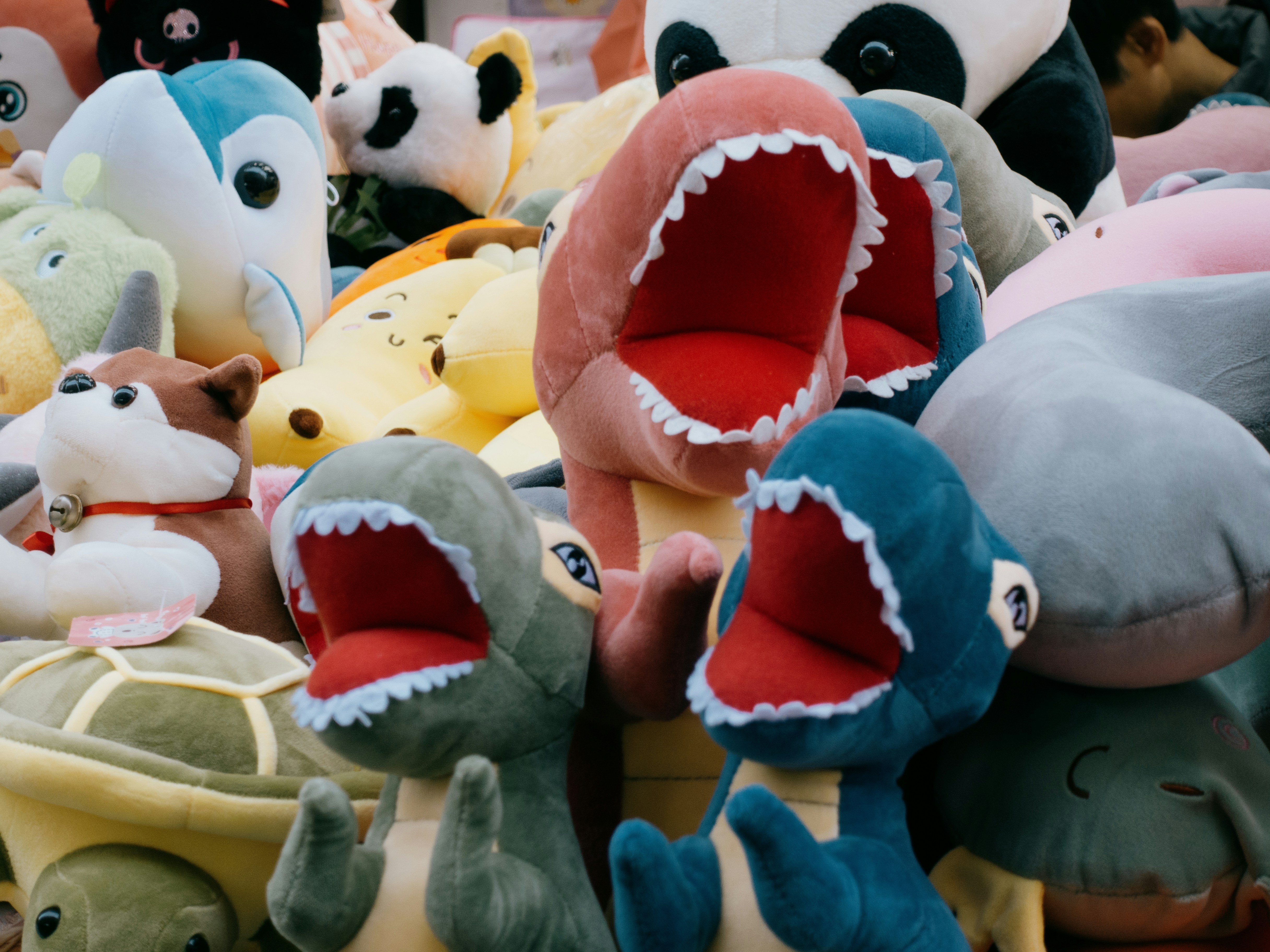 Photo by catgirlmutant