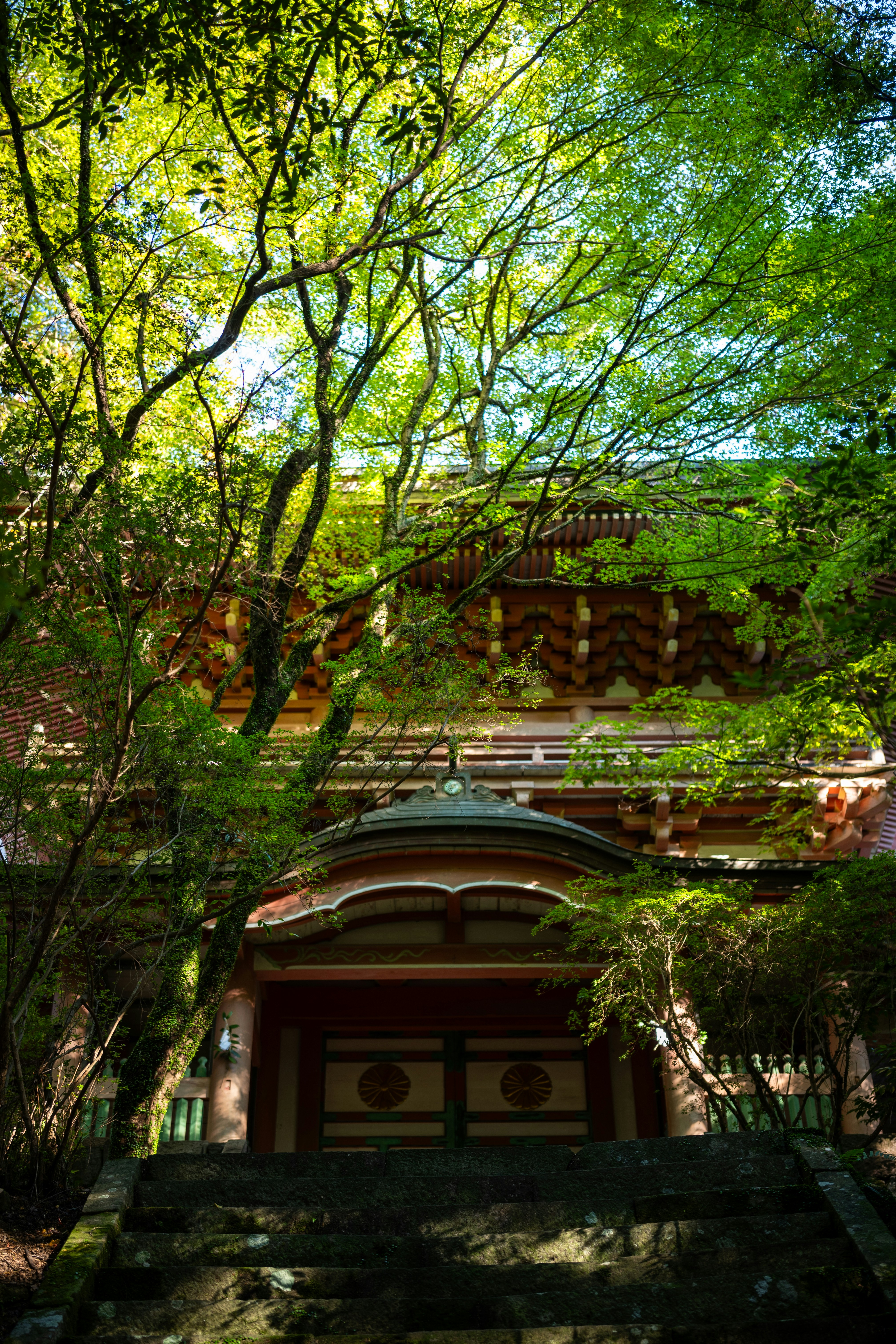 Photo by pafuxu