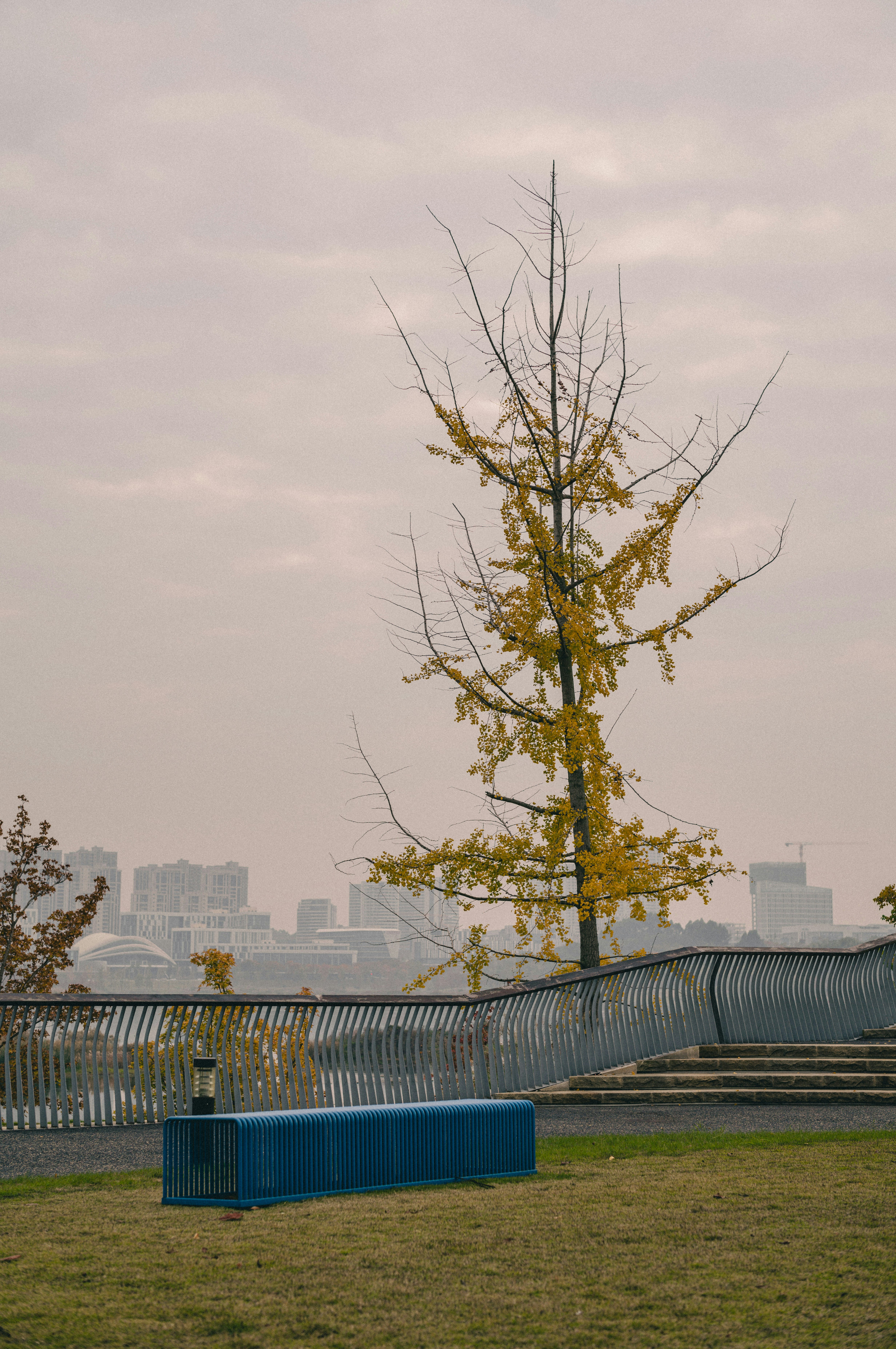 Un parque con un banco y un árbol al fondo