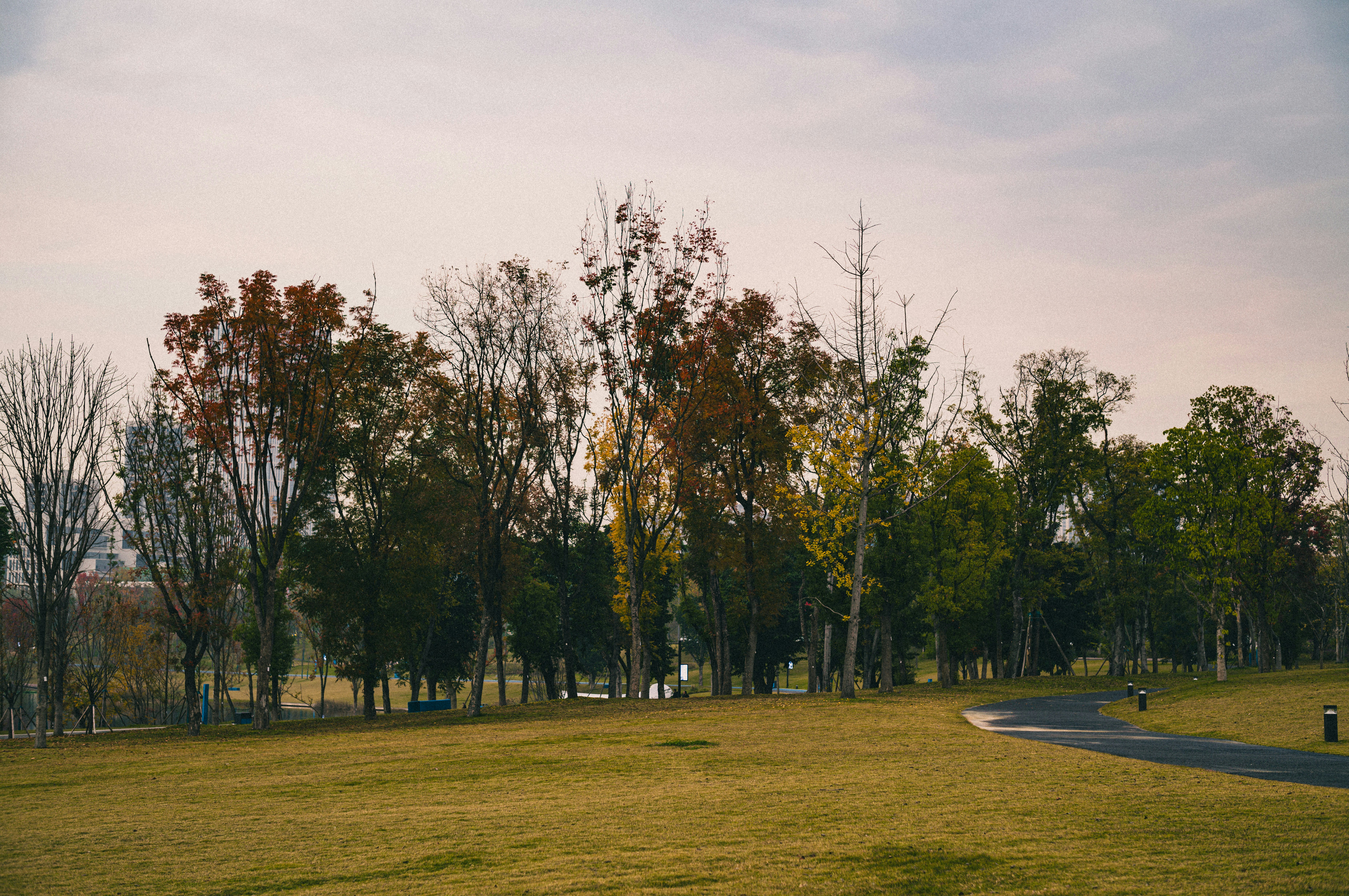 Photo by xingchenyan