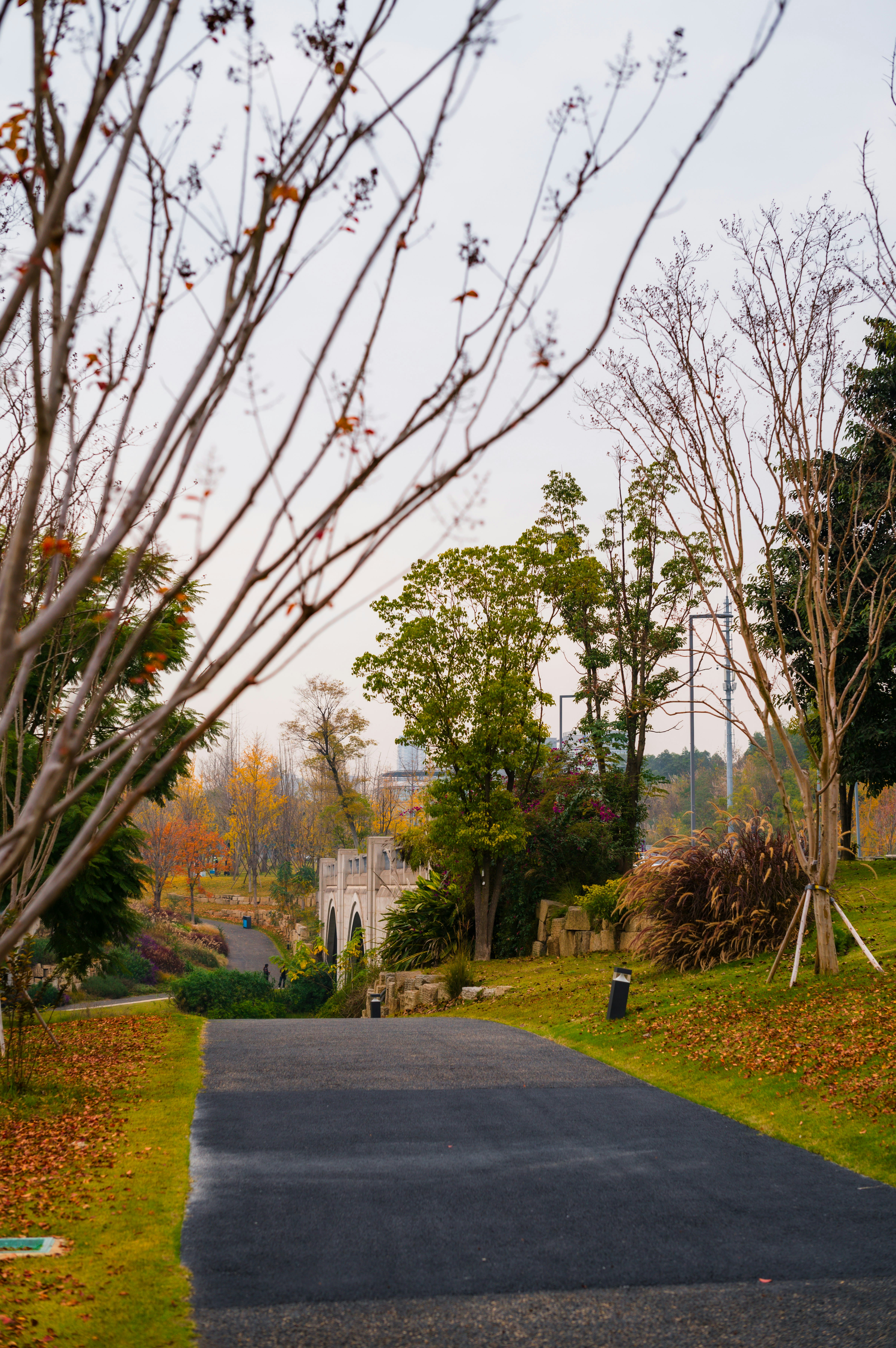 Un camino empedrado con árboles al fondo