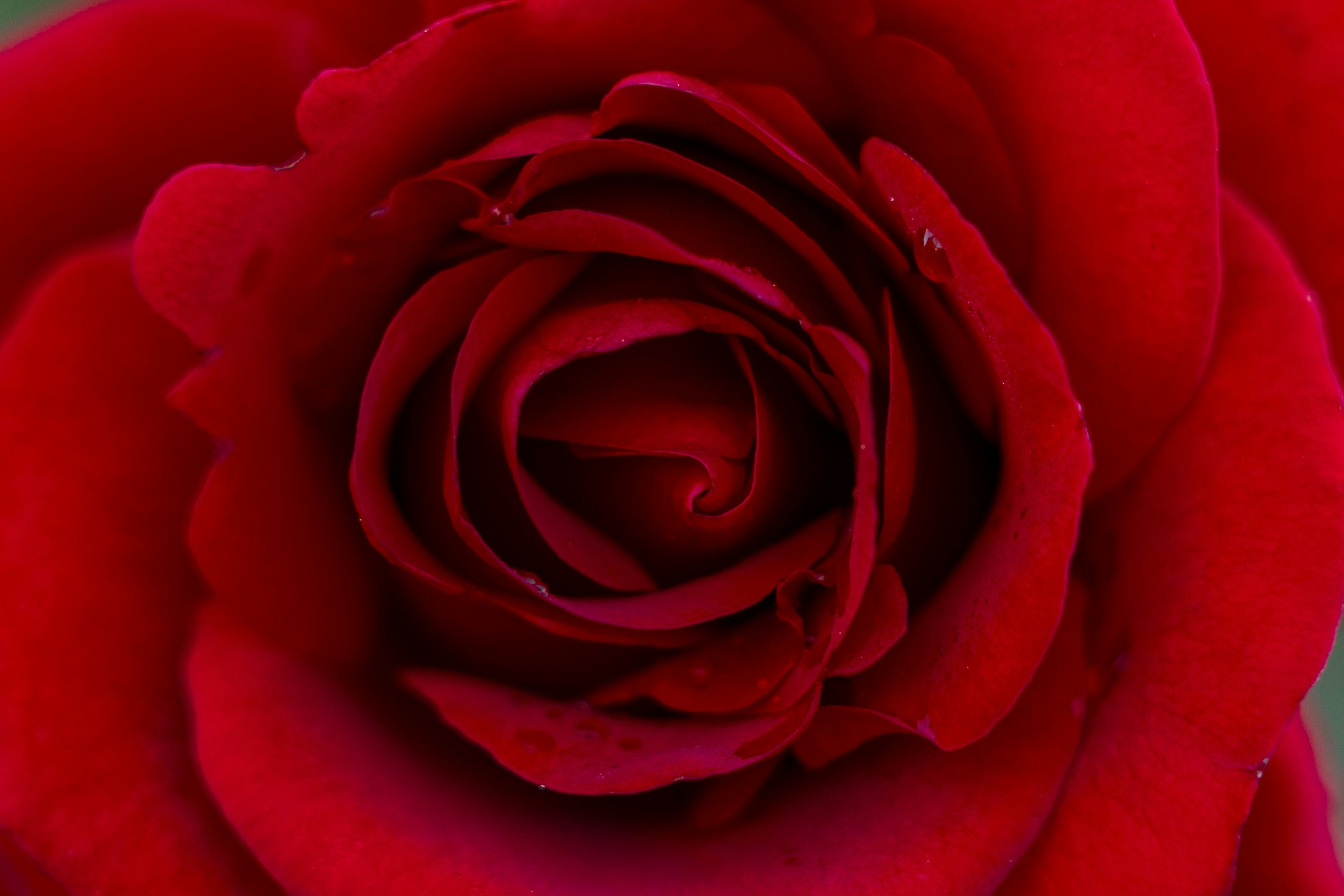 Photo by leo_visions_