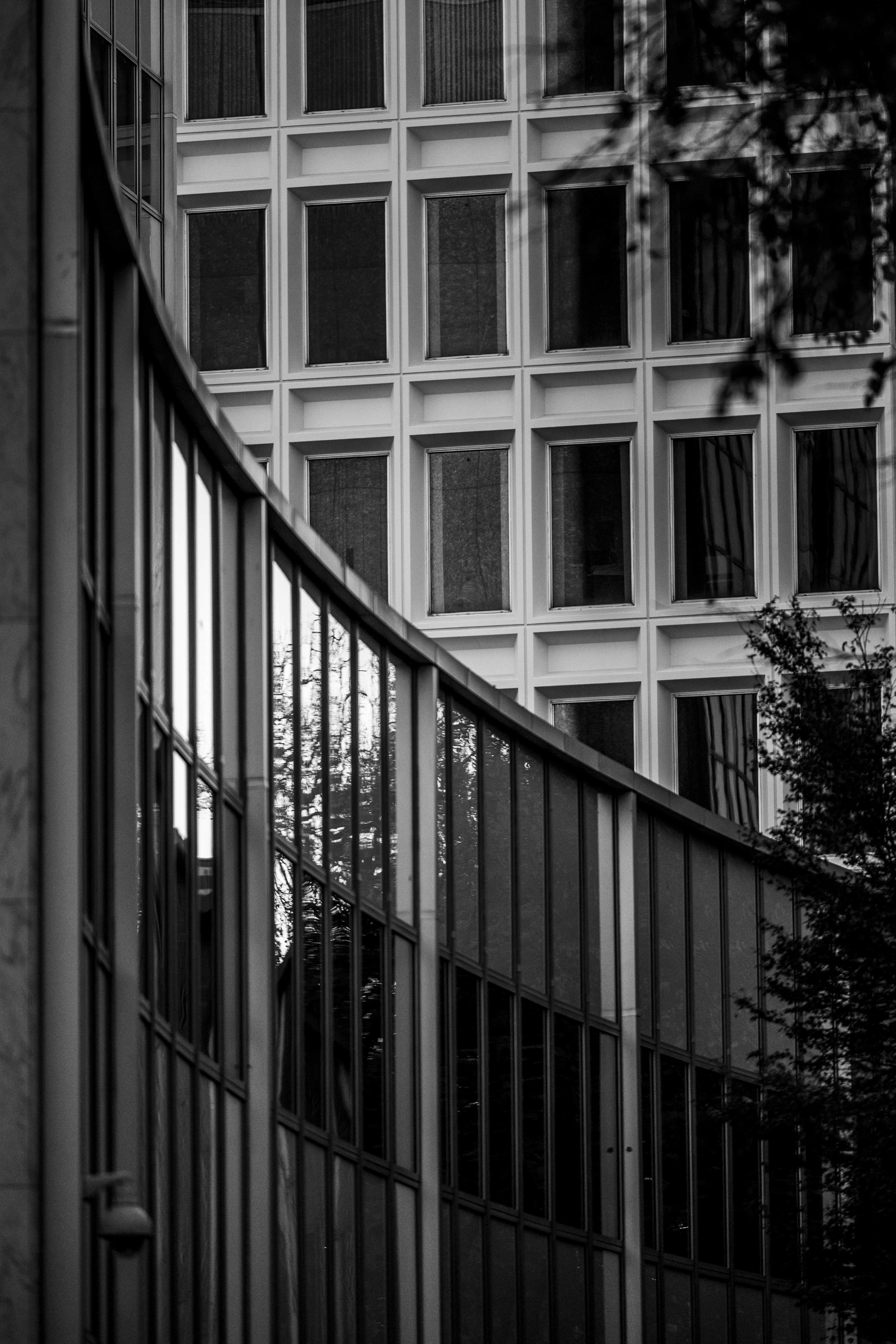 Photo by leo_visions_