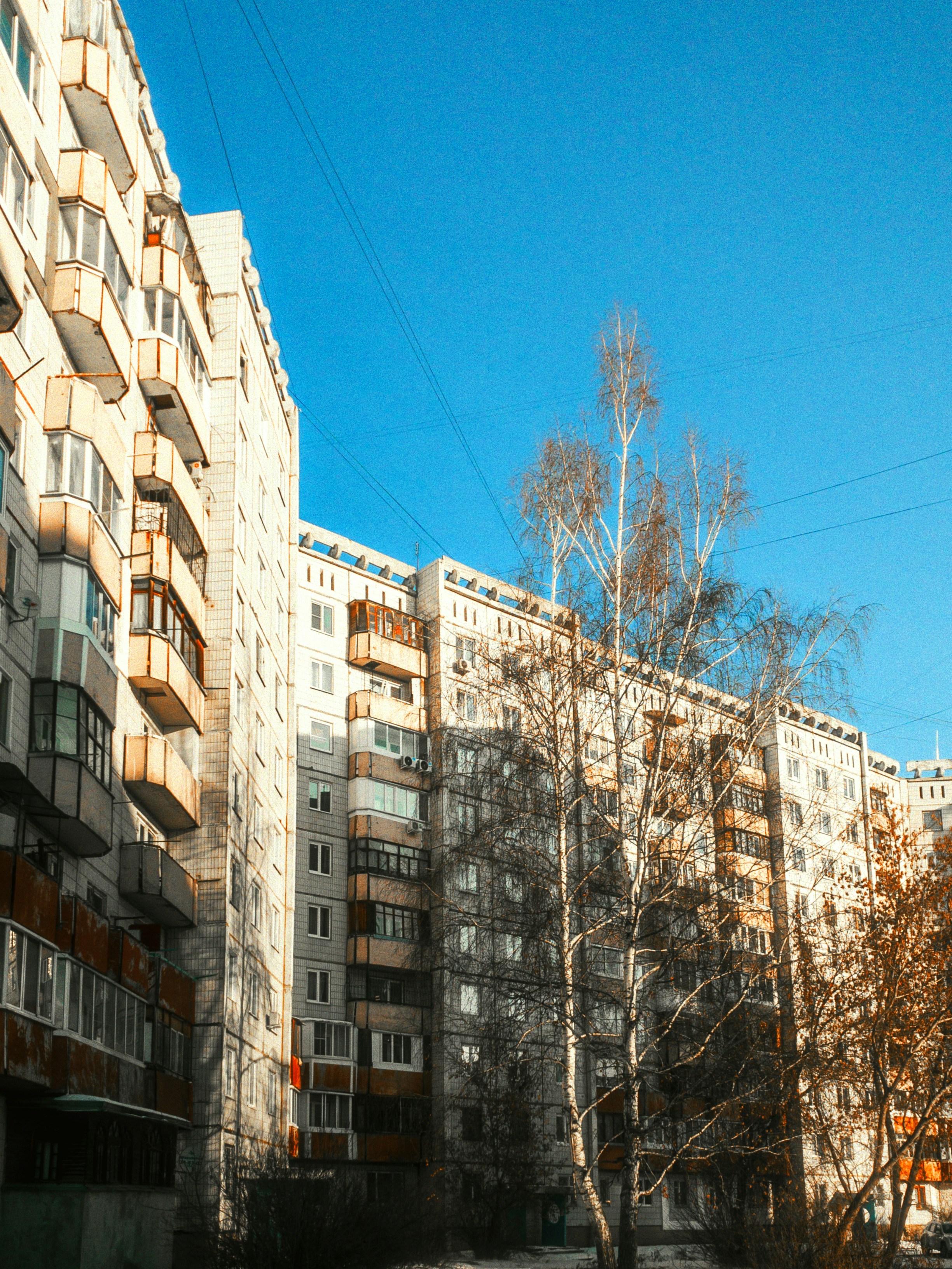 photo-1733028724927-ee9d645088fb?ixid=M3