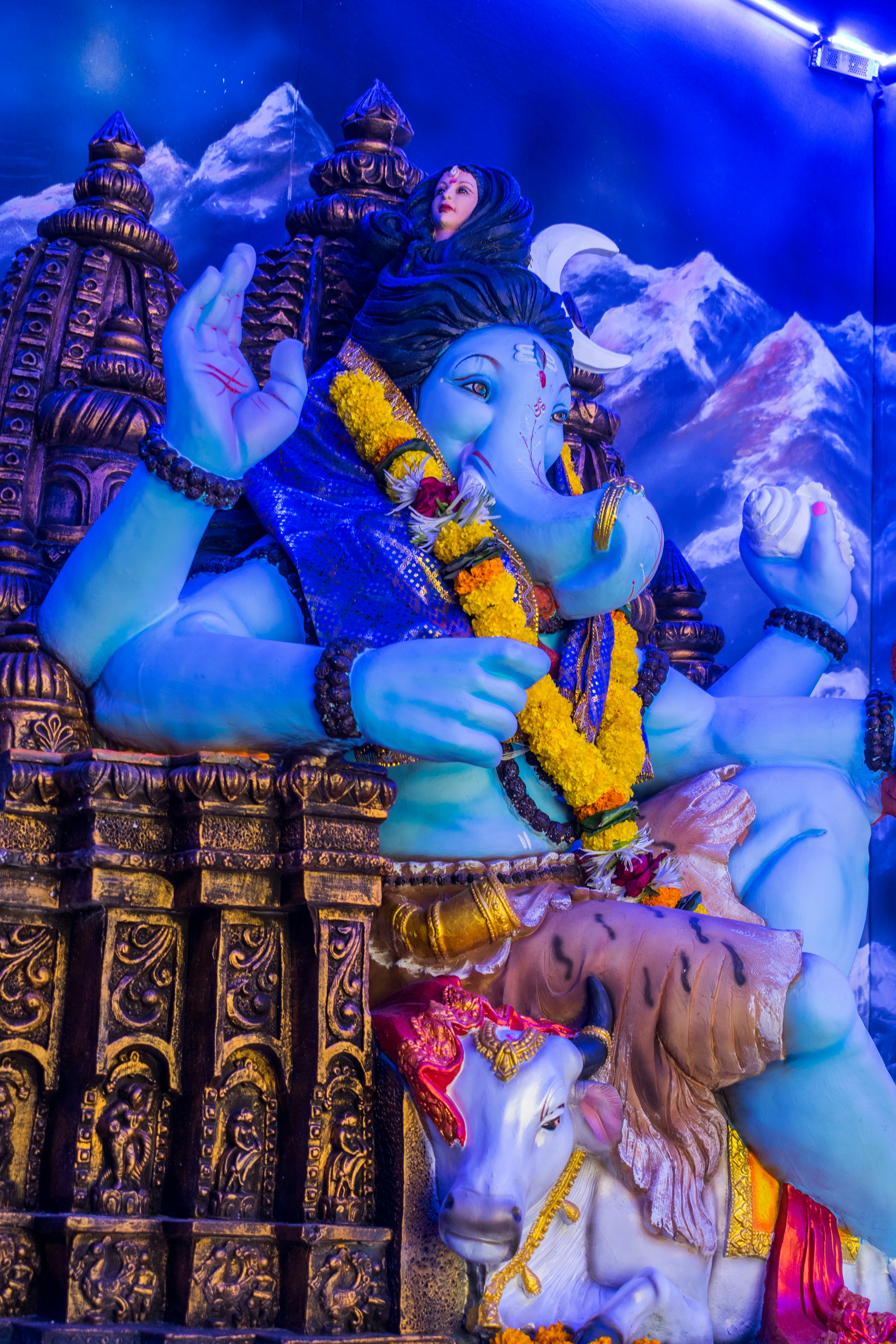 Photo by sonika_agarwal