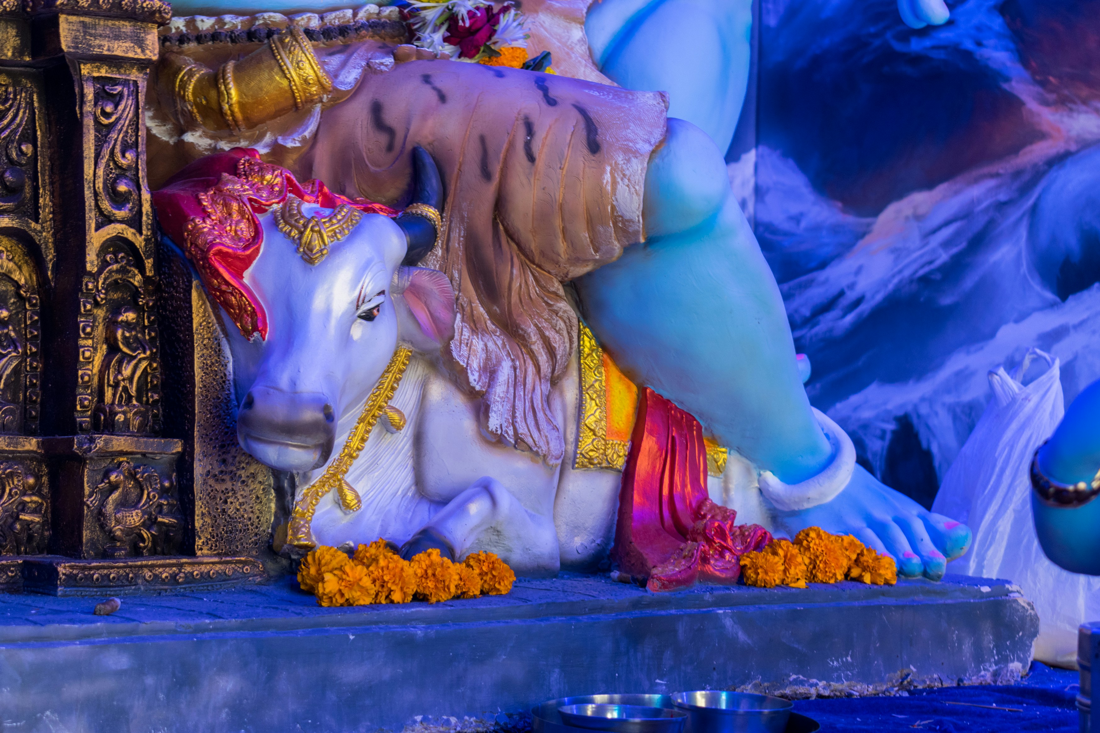 Photo by sonika_agarwal