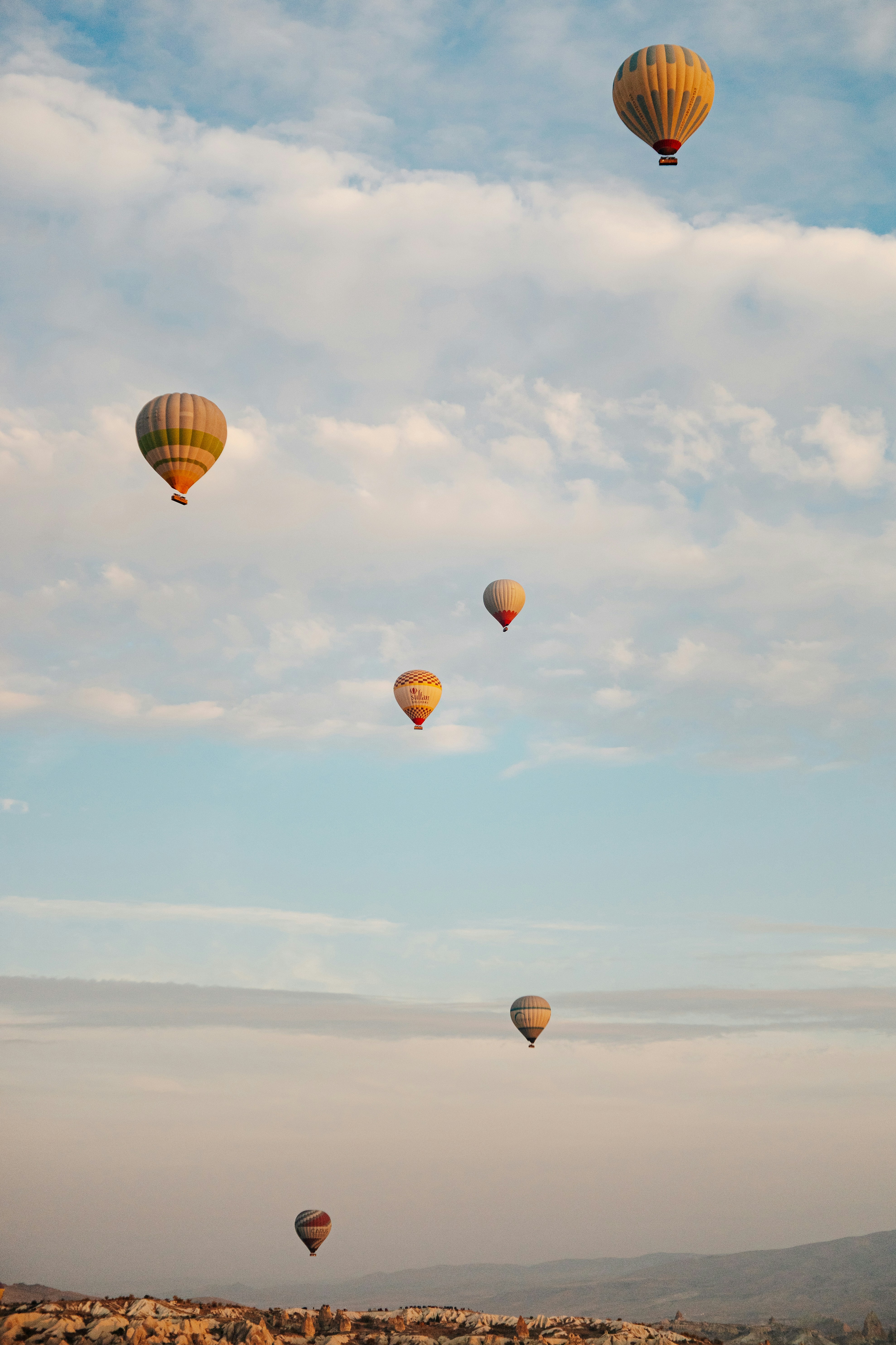 Photo by igorharrier