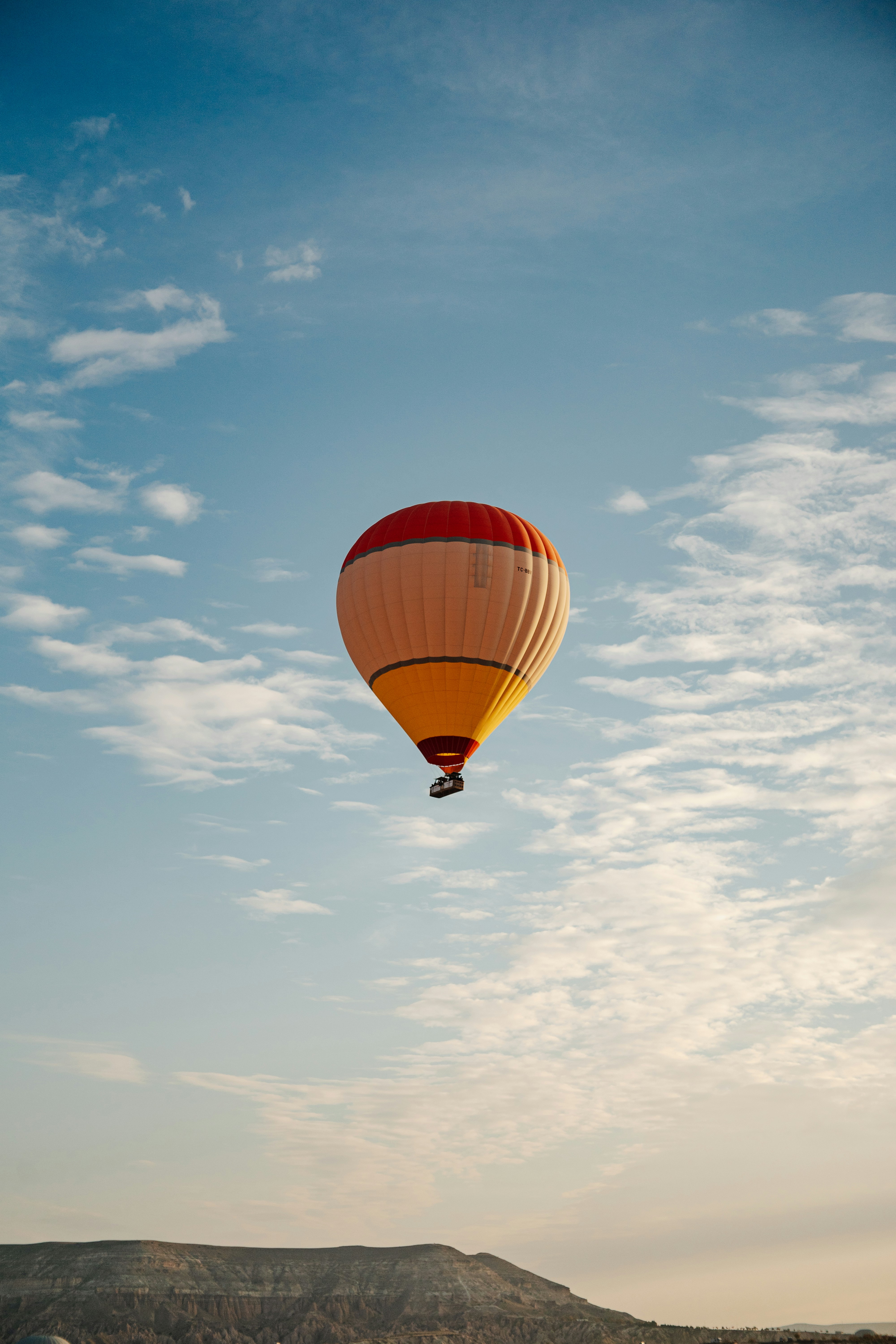 Photo by igorharrier