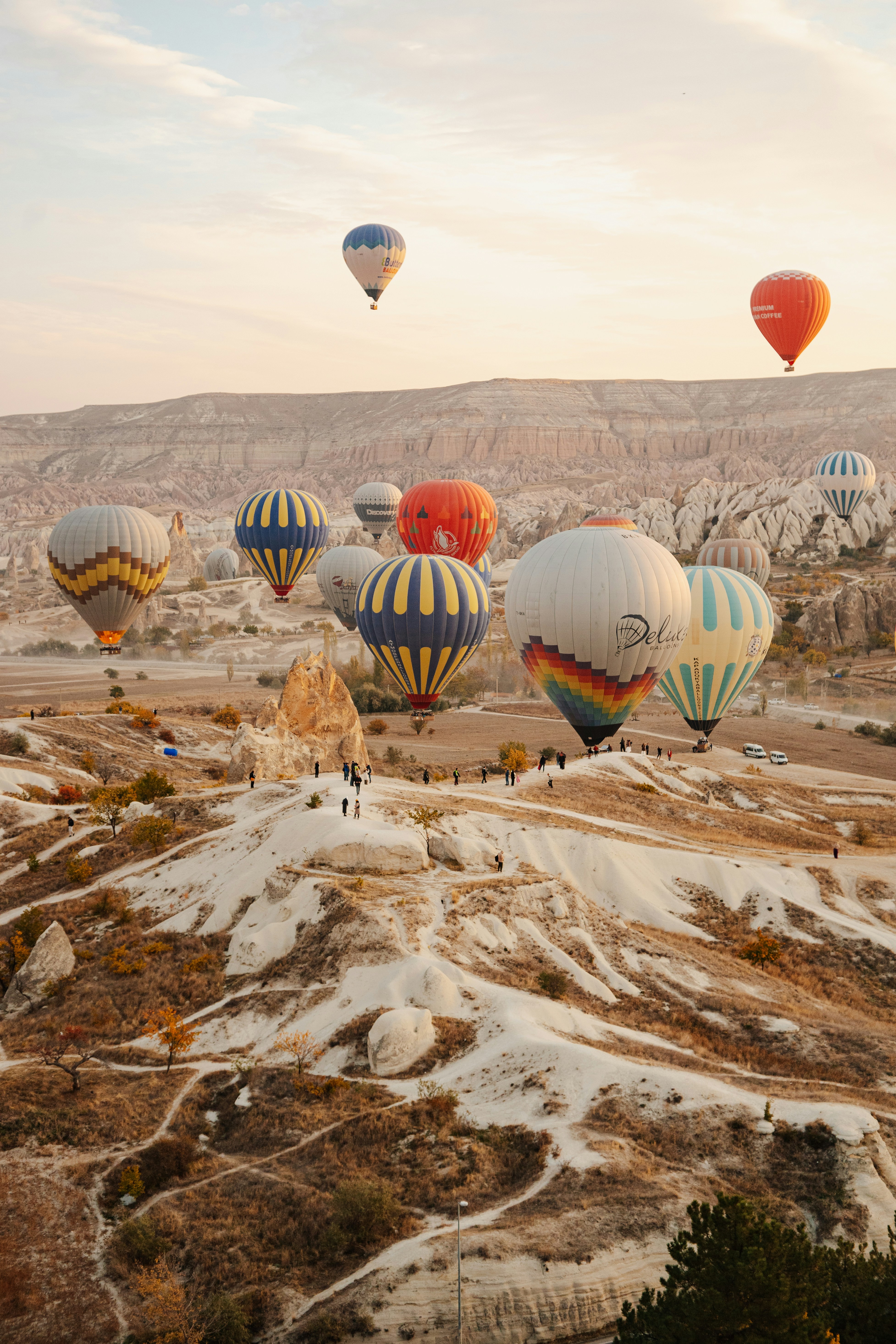 Photo by igorharrier