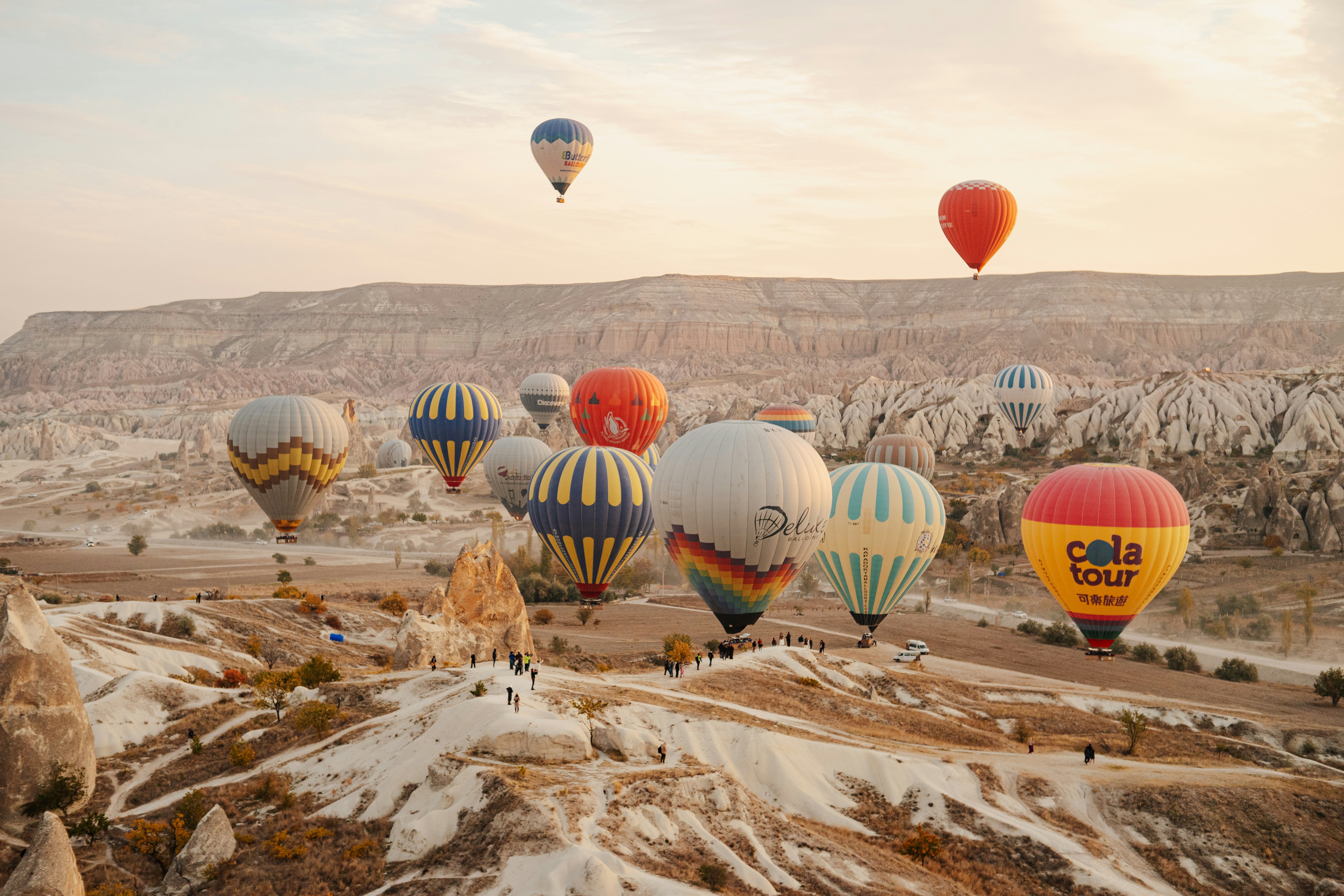 Photo by igorharrier