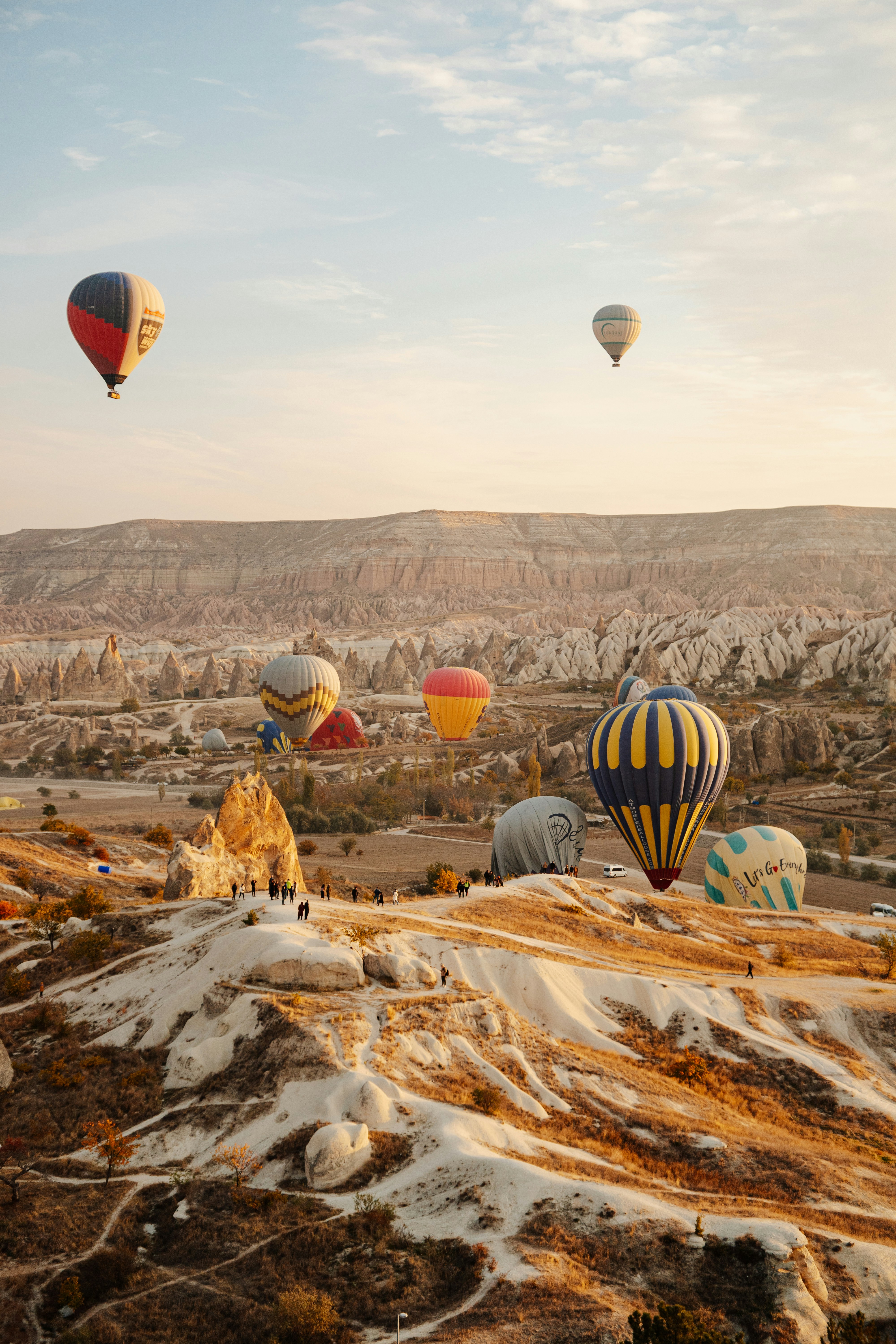 Photo by igorharrier