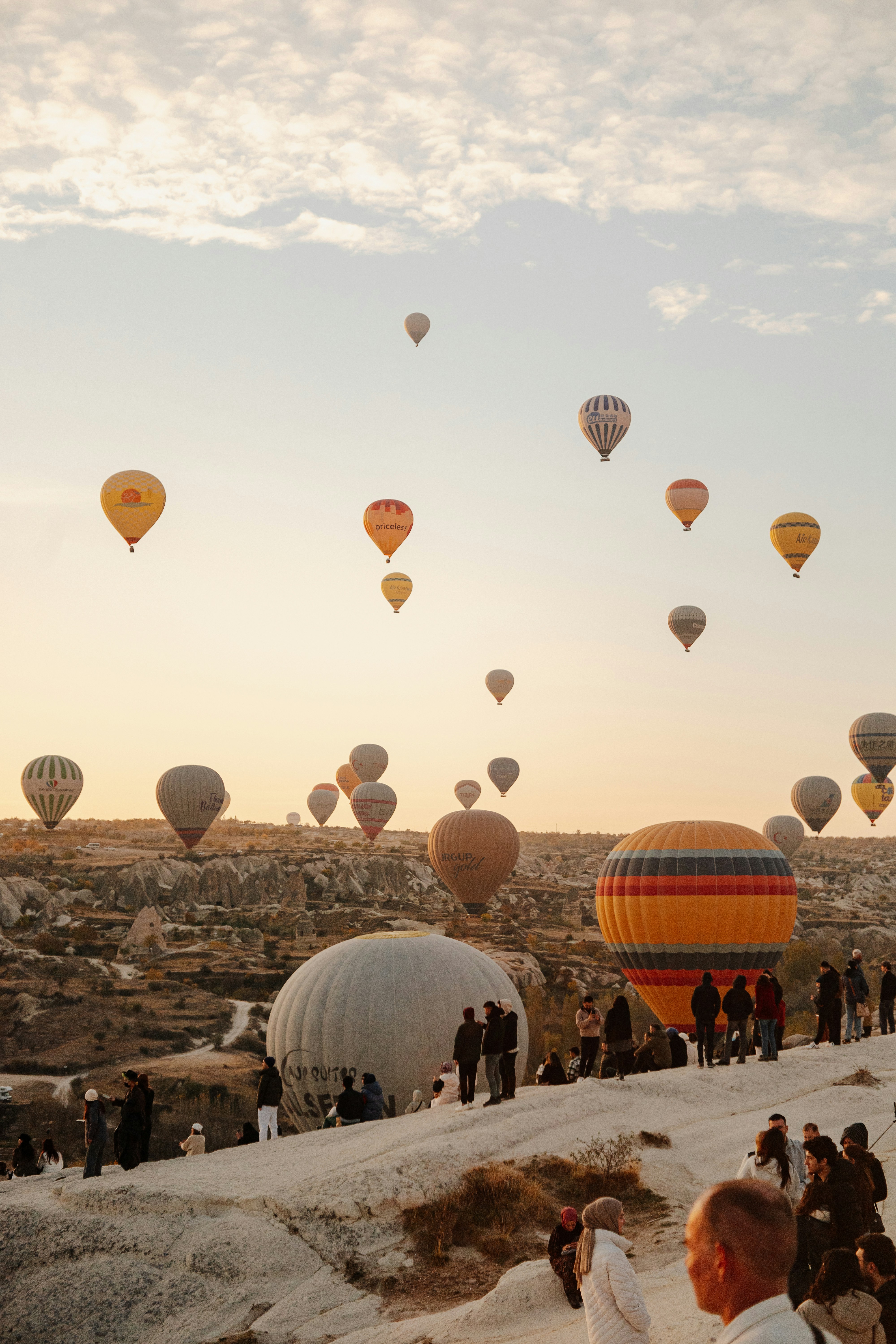 Photo by igorharrier