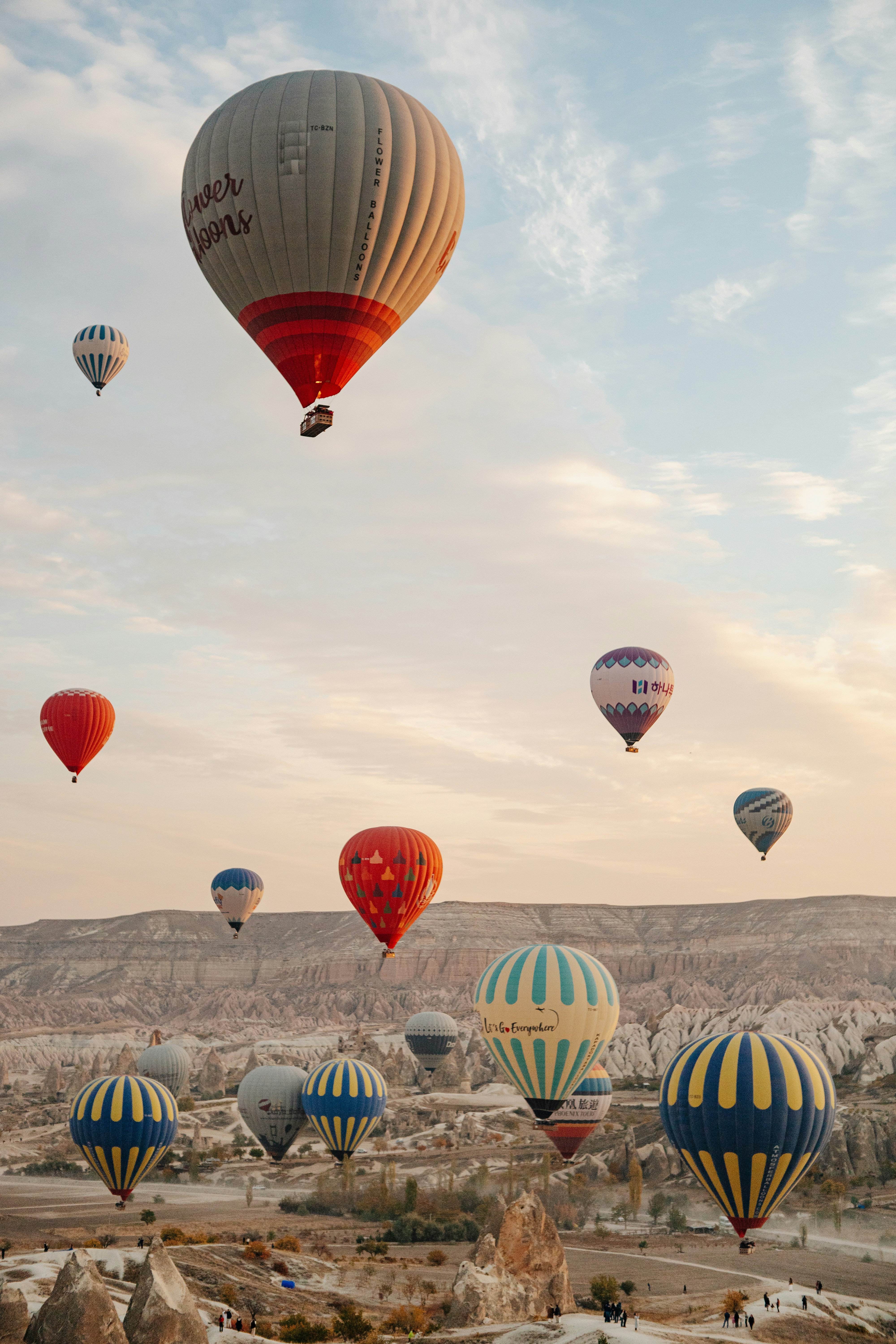 Photo by igorharrier