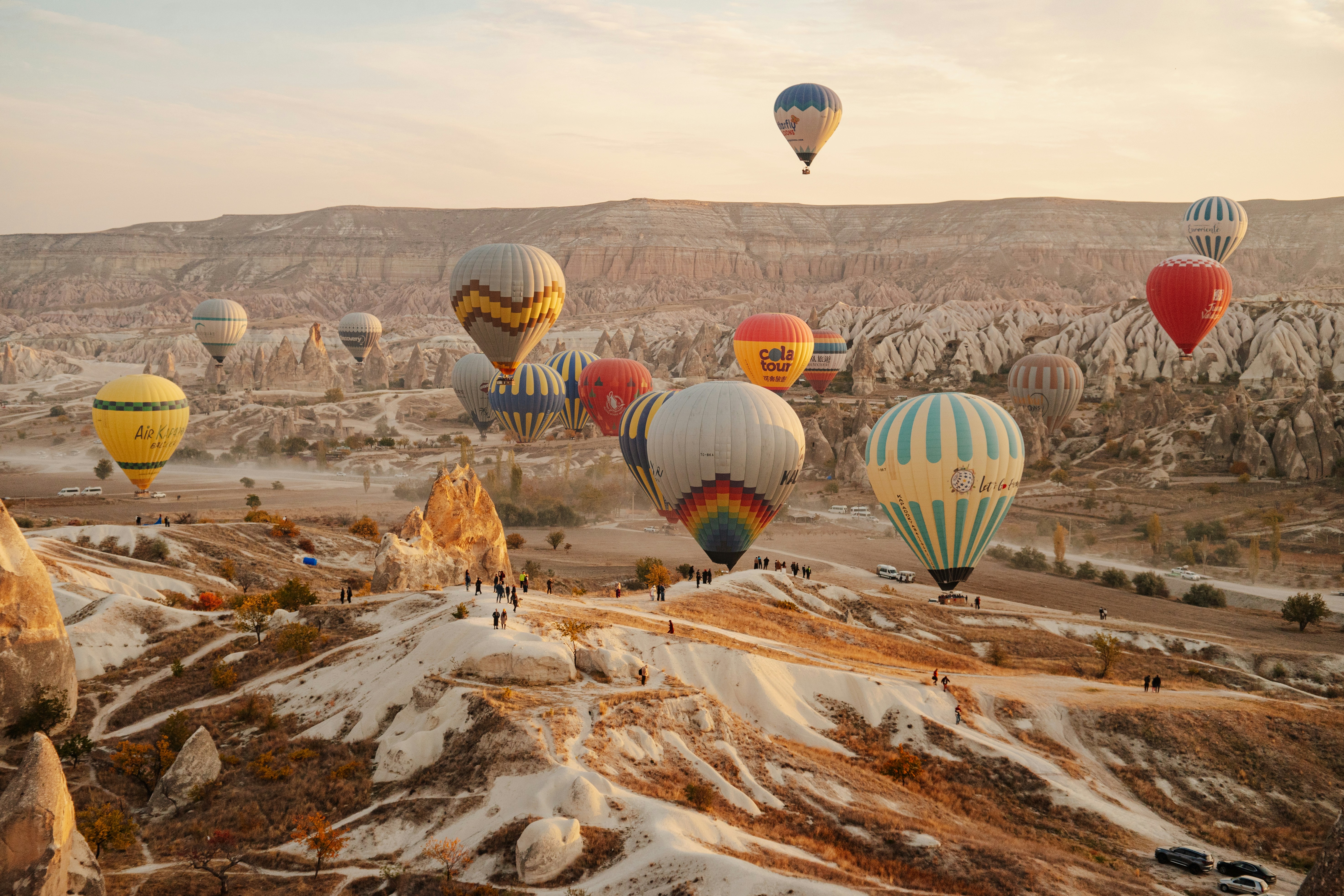 Photo by igorharrier