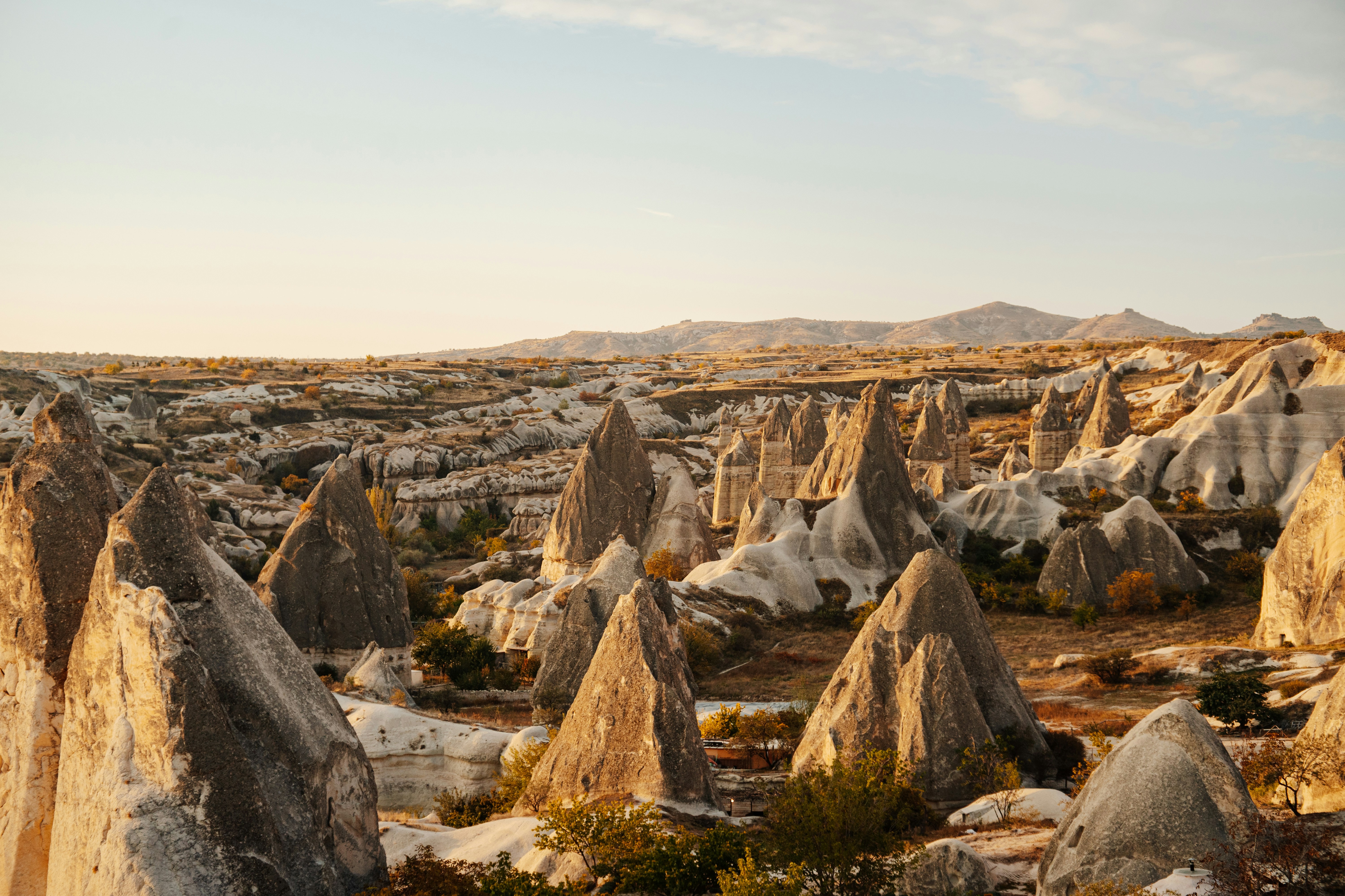 Photo by igorharrier