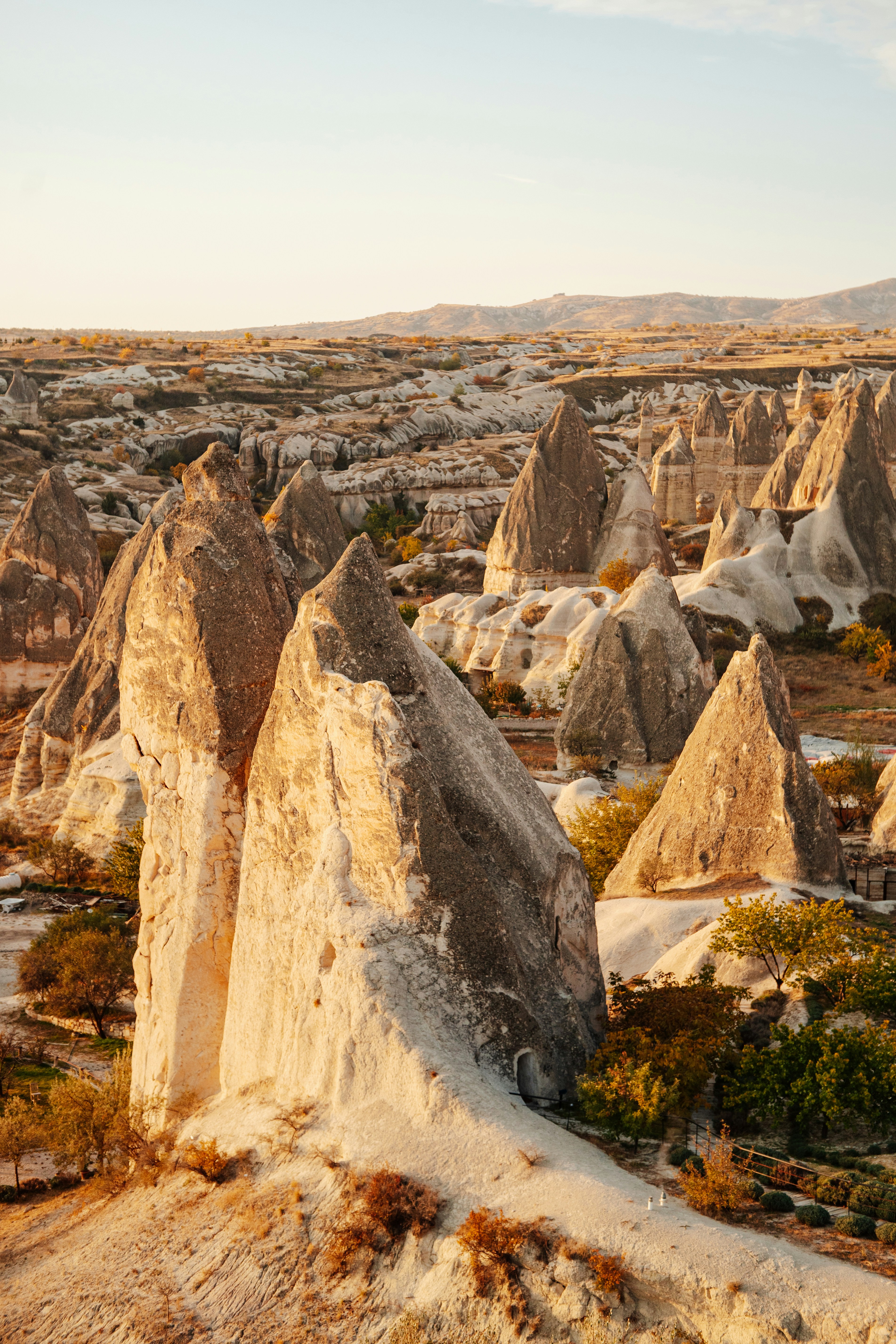 Photo by igorharrier