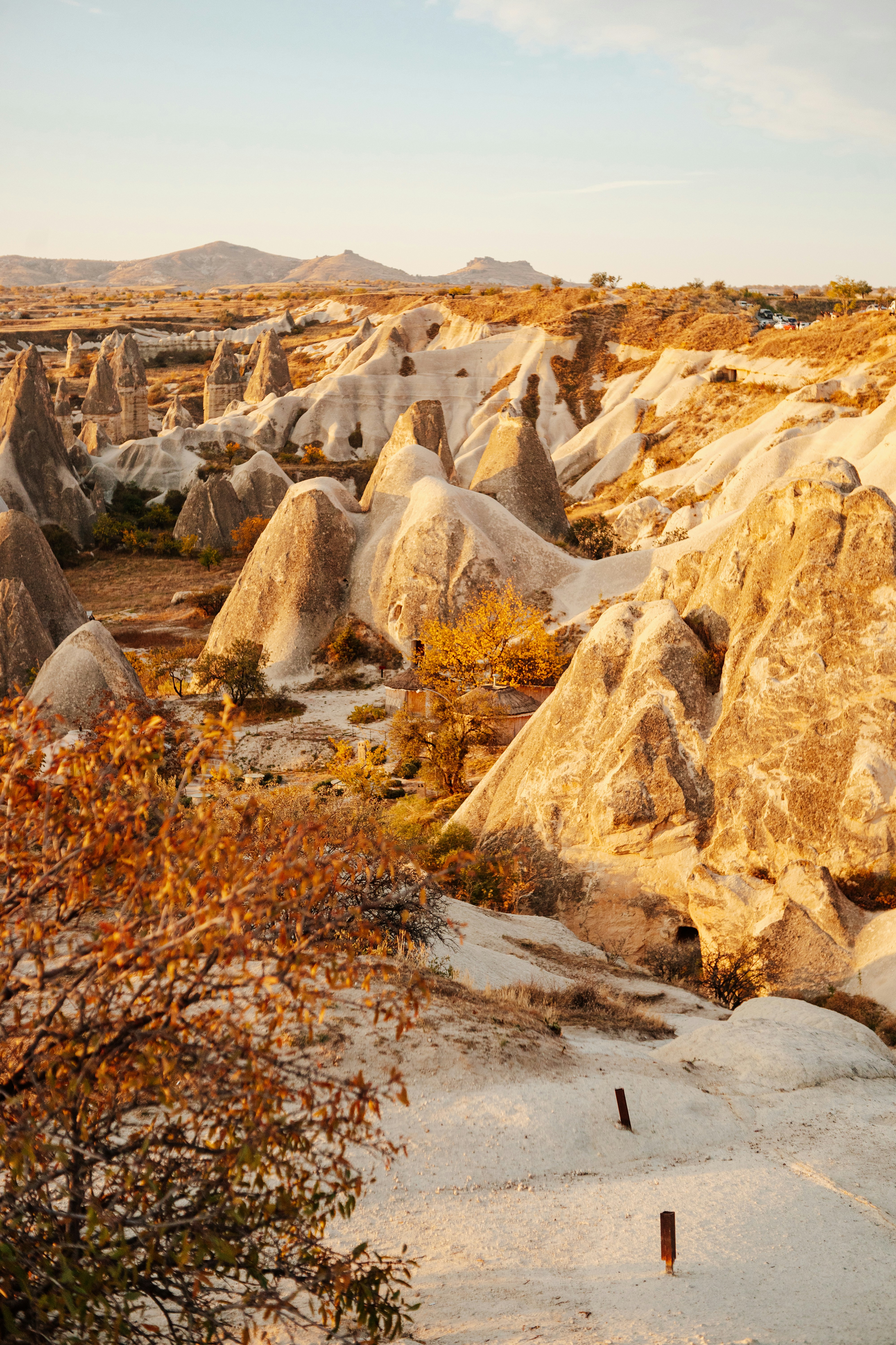 Photo by igorharrier