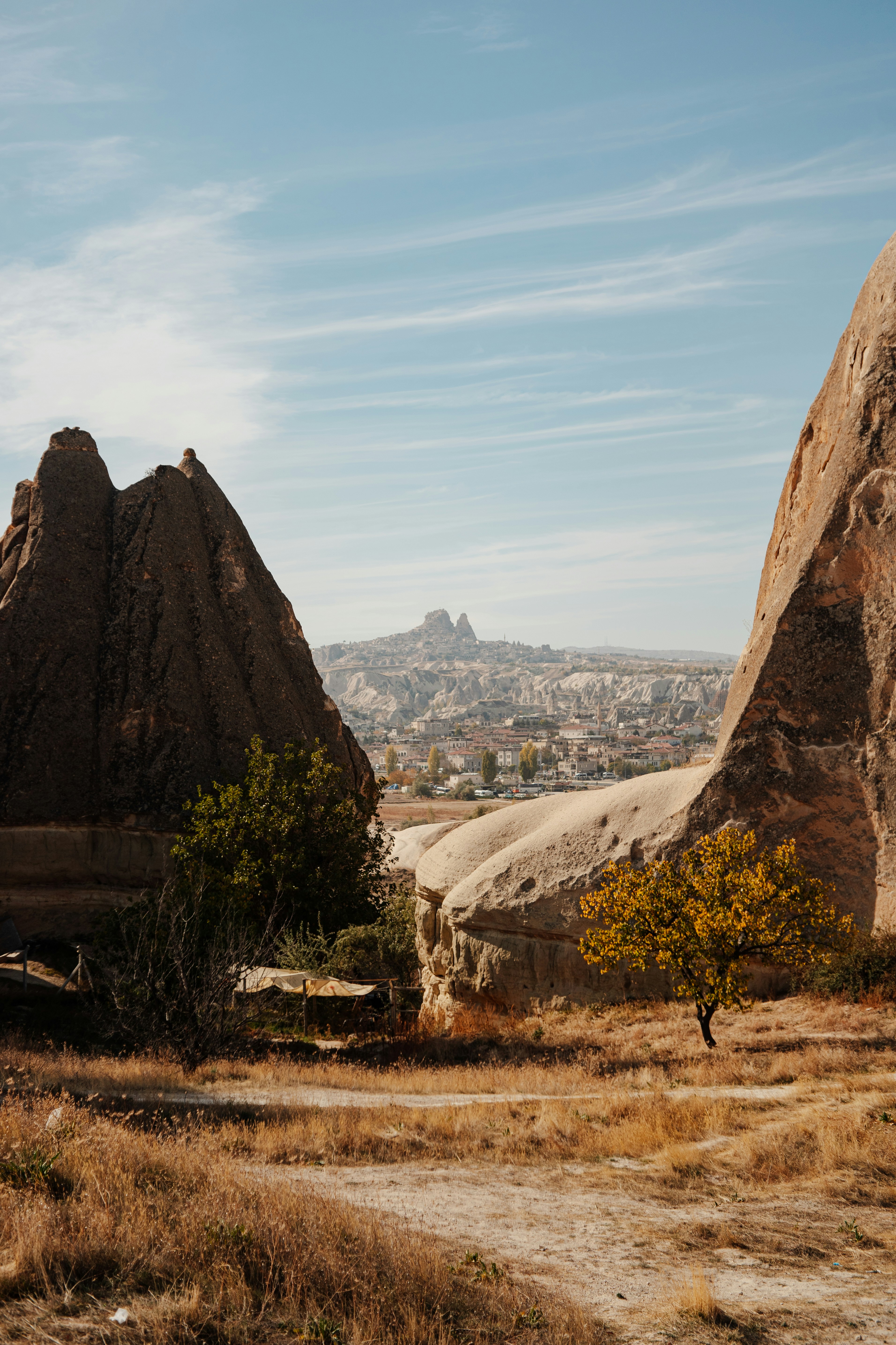 Photo by igorharrier