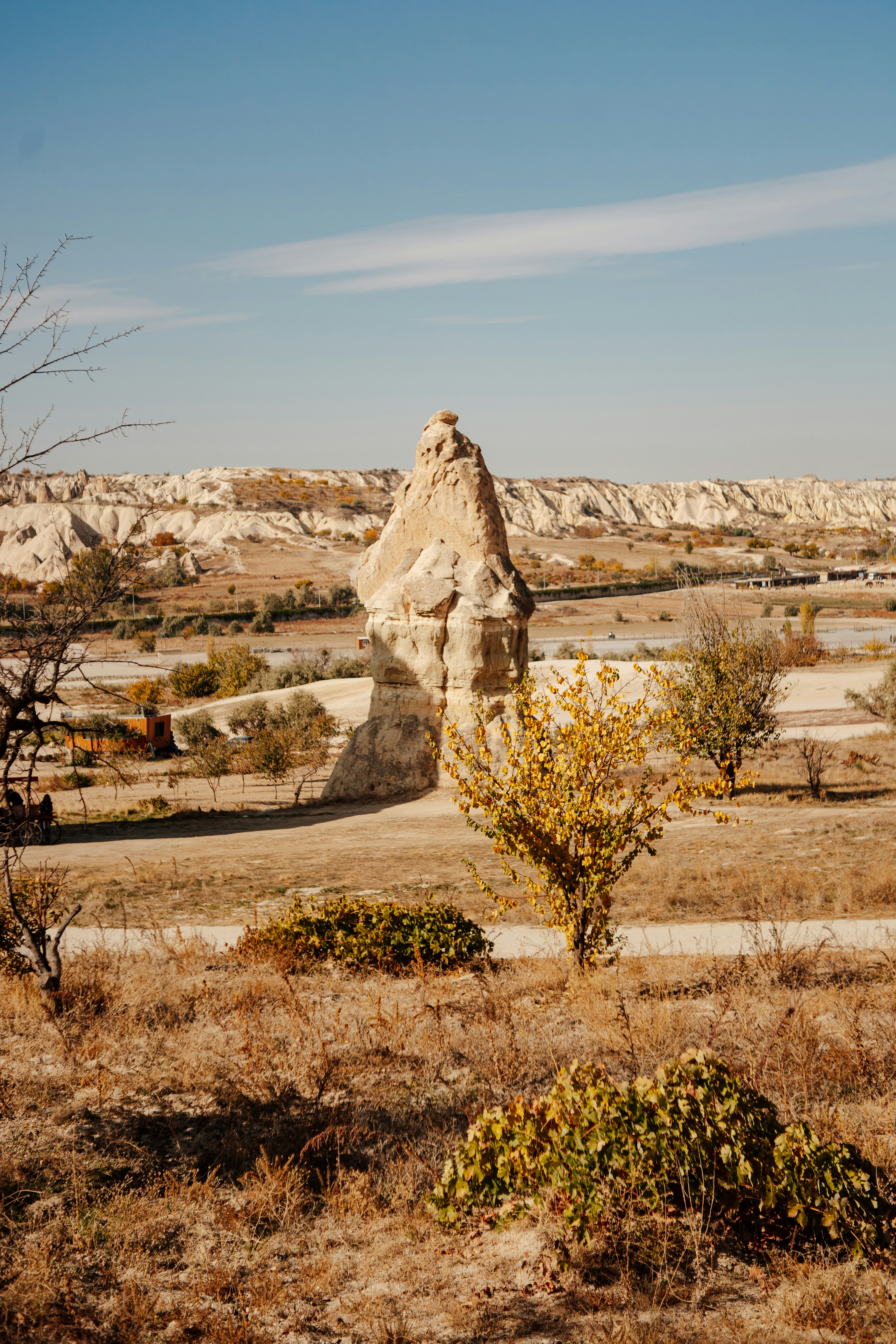 Photo by igorharrier