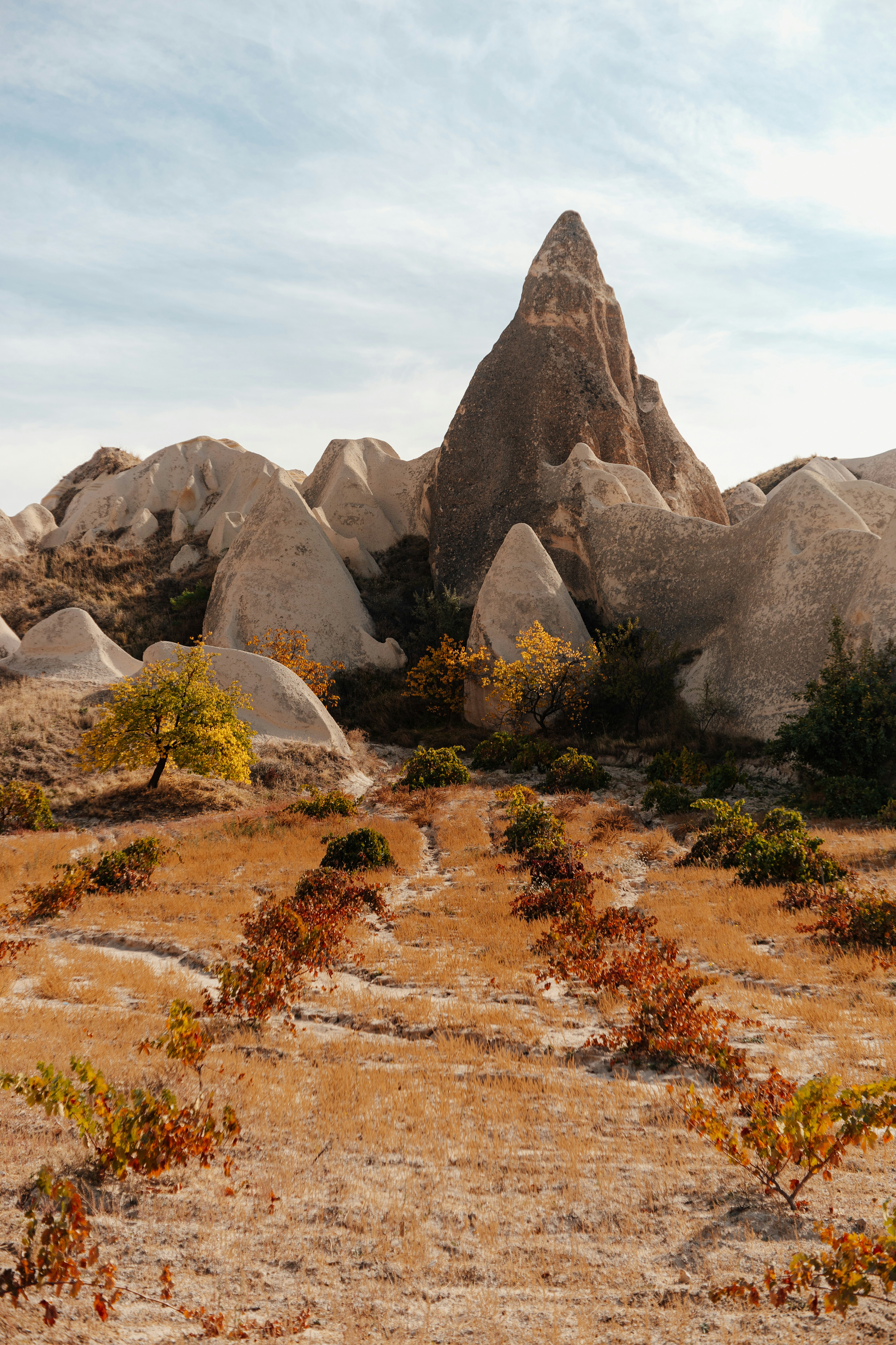 Photo by igorharrier